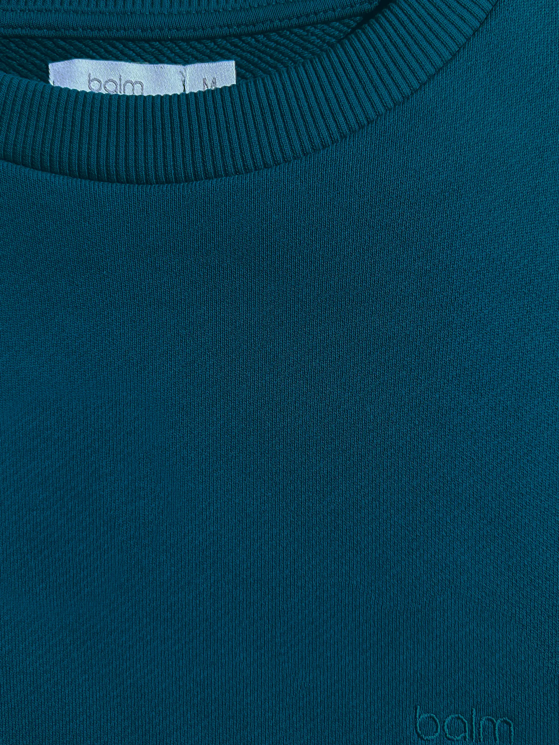 Close-up of a single green leaf against a white background.