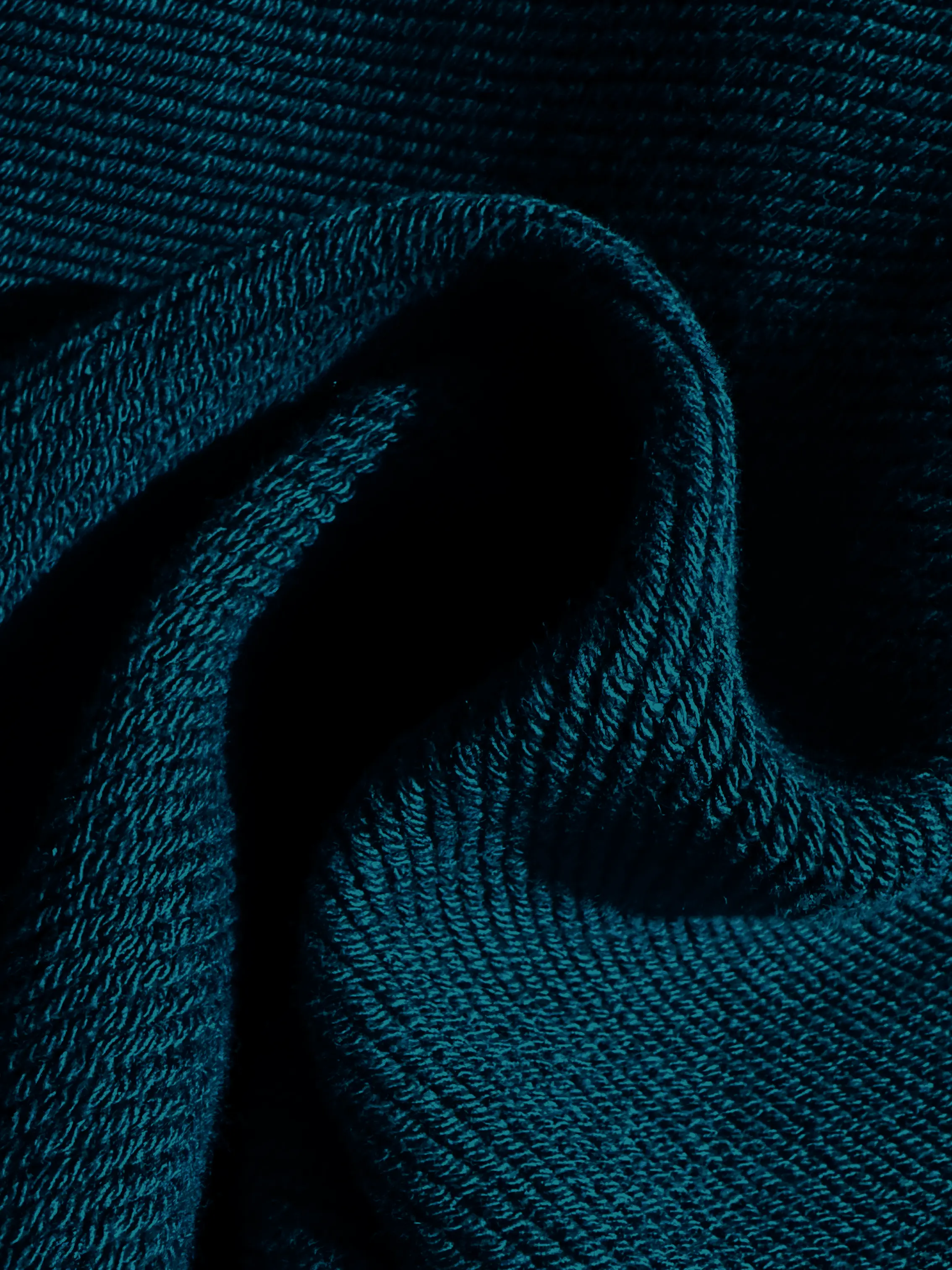 Close-up of a single green leaf against a white background.