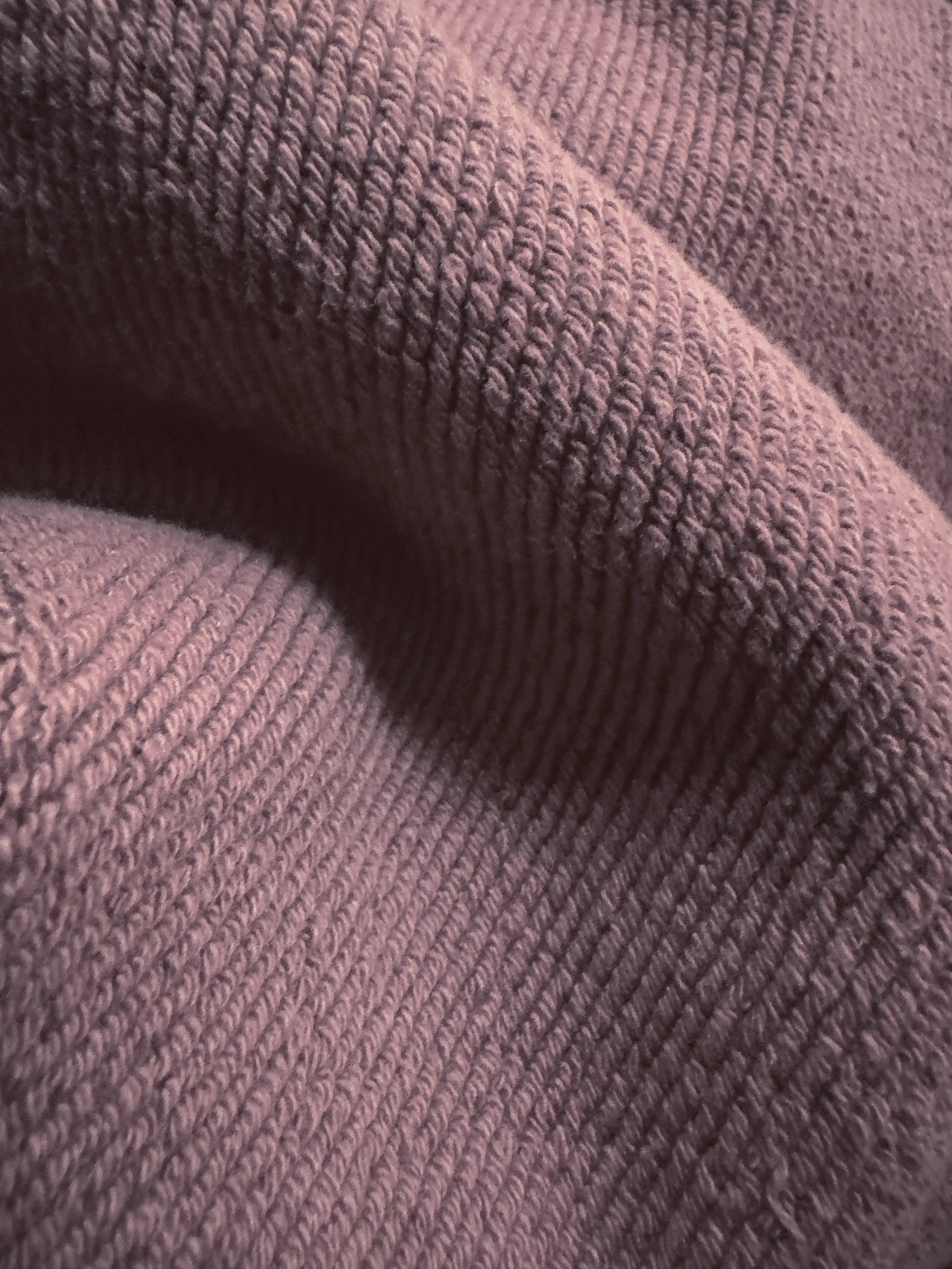 Close-up of a single green leaf against a white background.