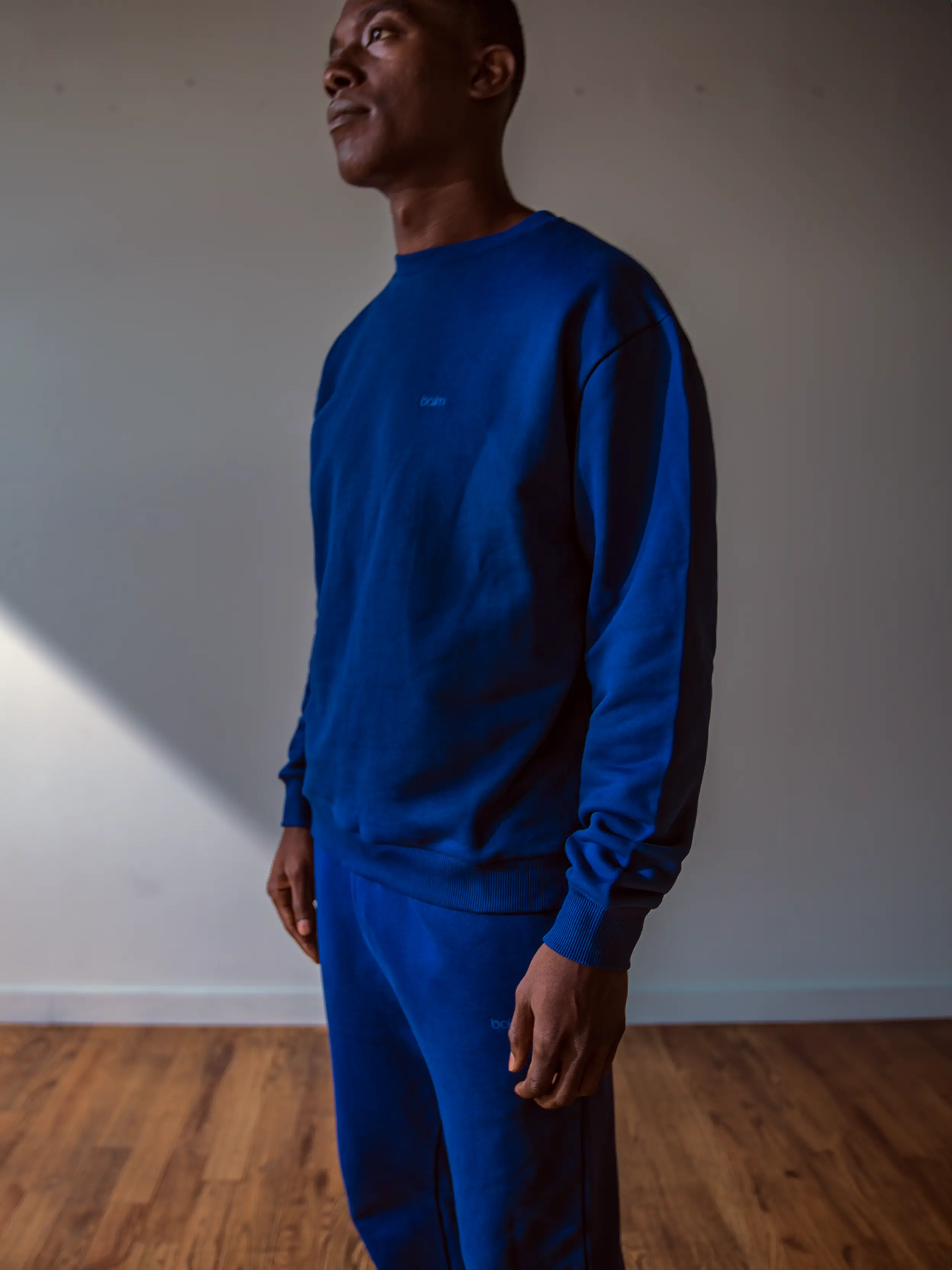 Close-up of a single green leaf against a white background.