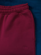 MEN'S BORDEAUX 2" SHORTS