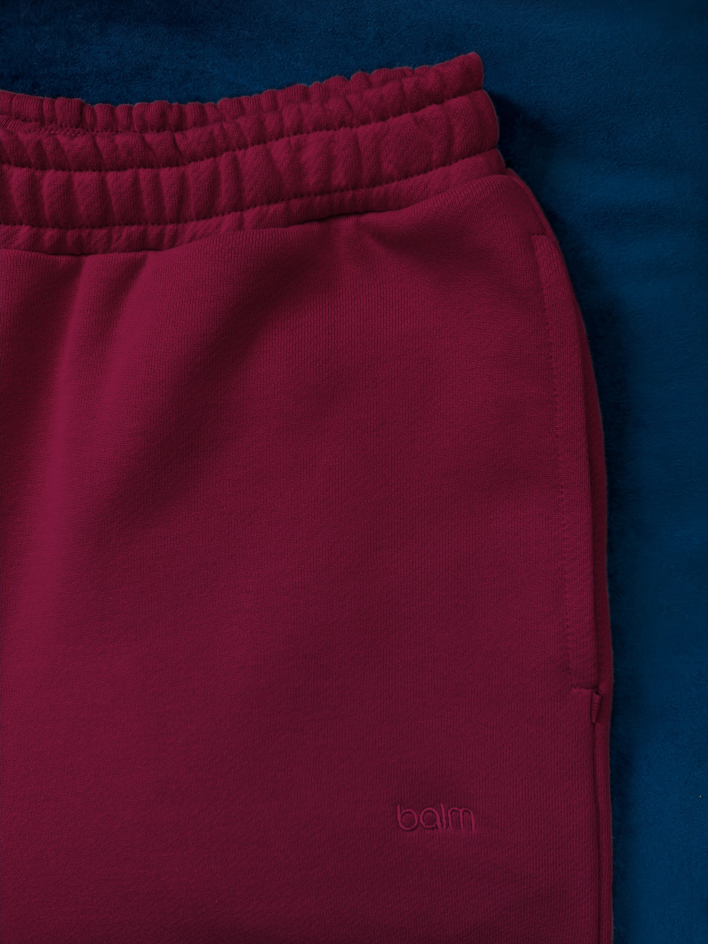 MEN'S BORDEAUX 2" SHORTS