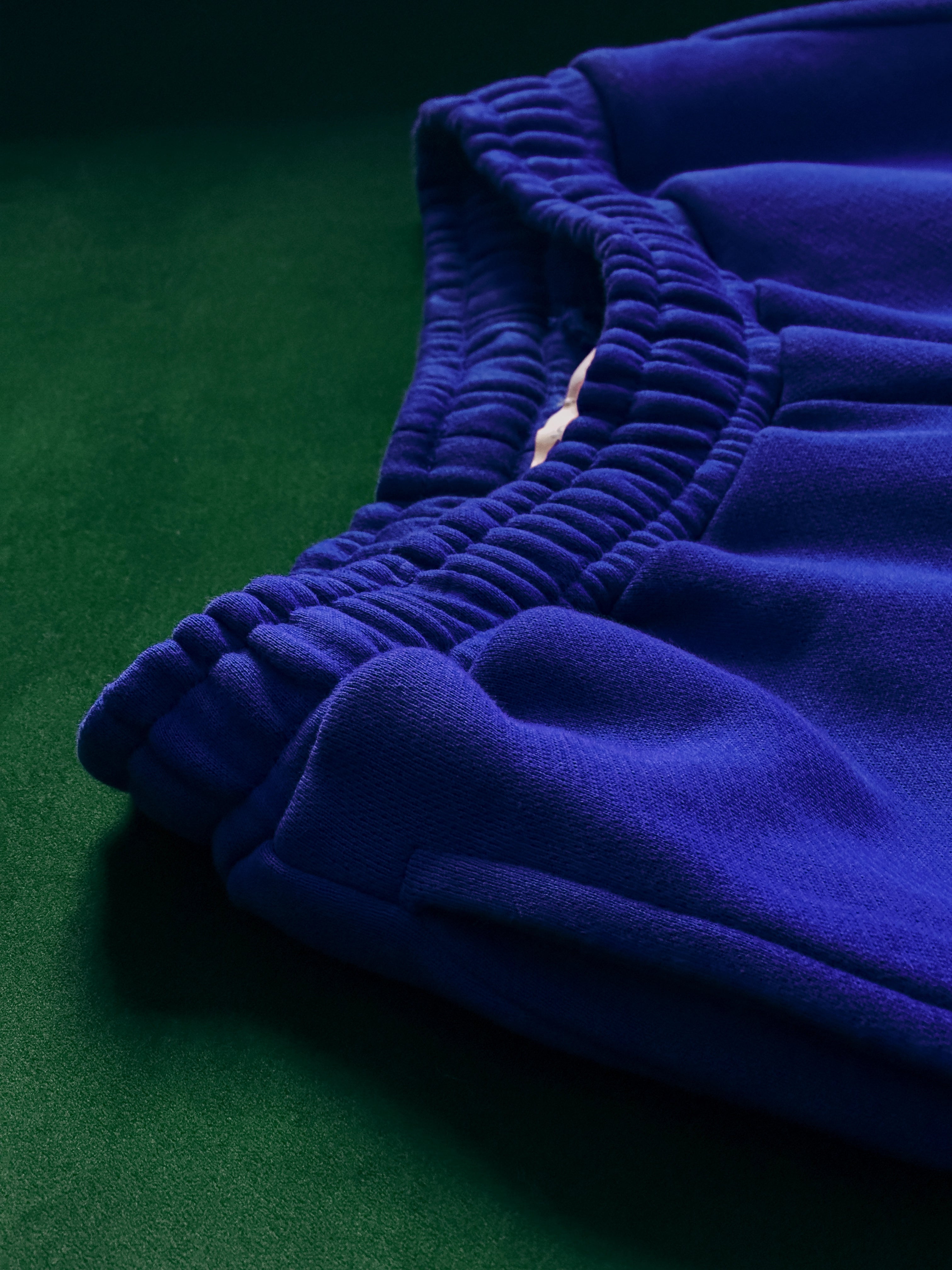 Close-up of a single green leaf against a white background.