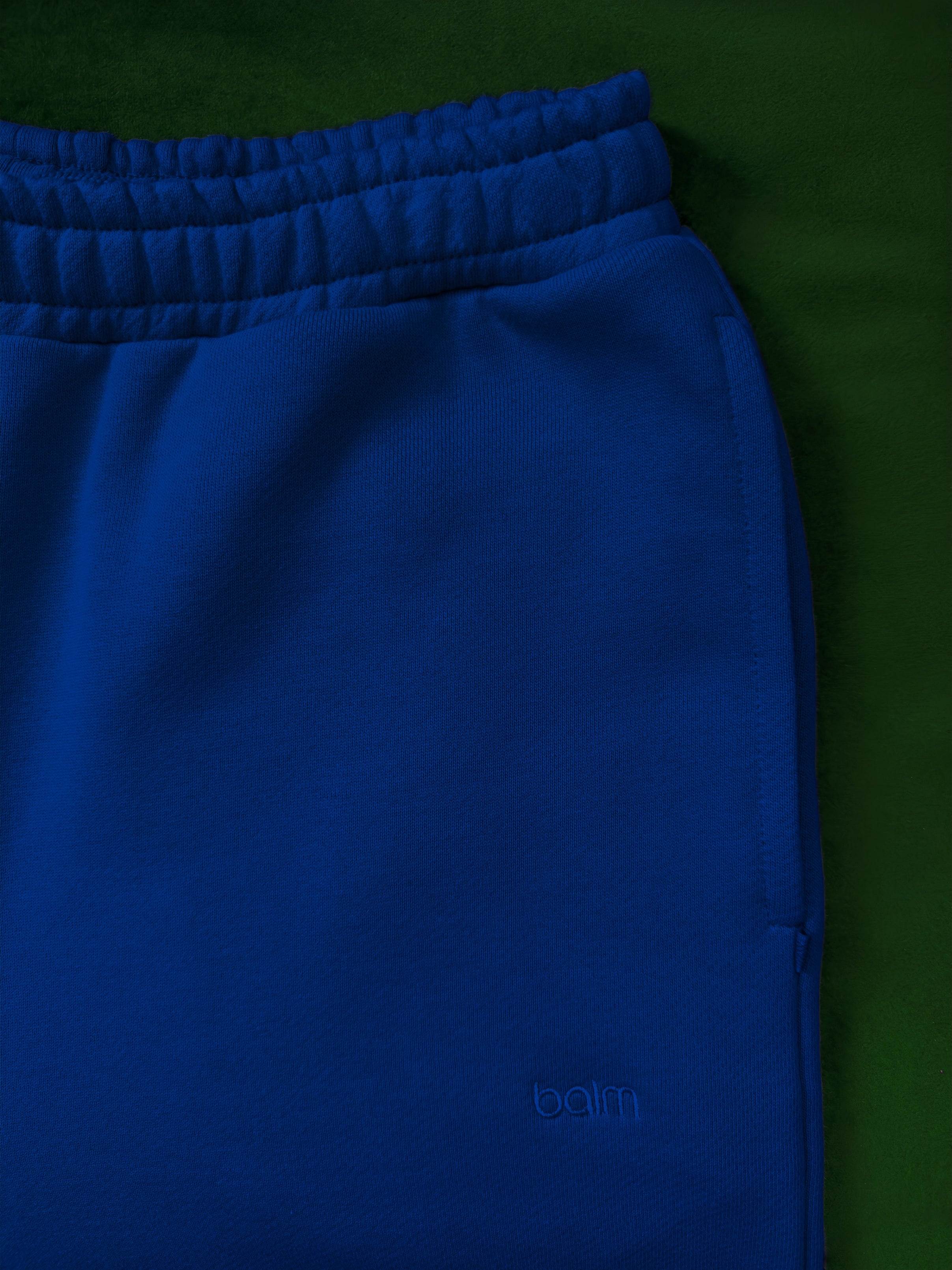 Close-up of a single green leaf against a white background.