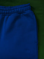 MEN'S CERULEAN 2" SHORTS