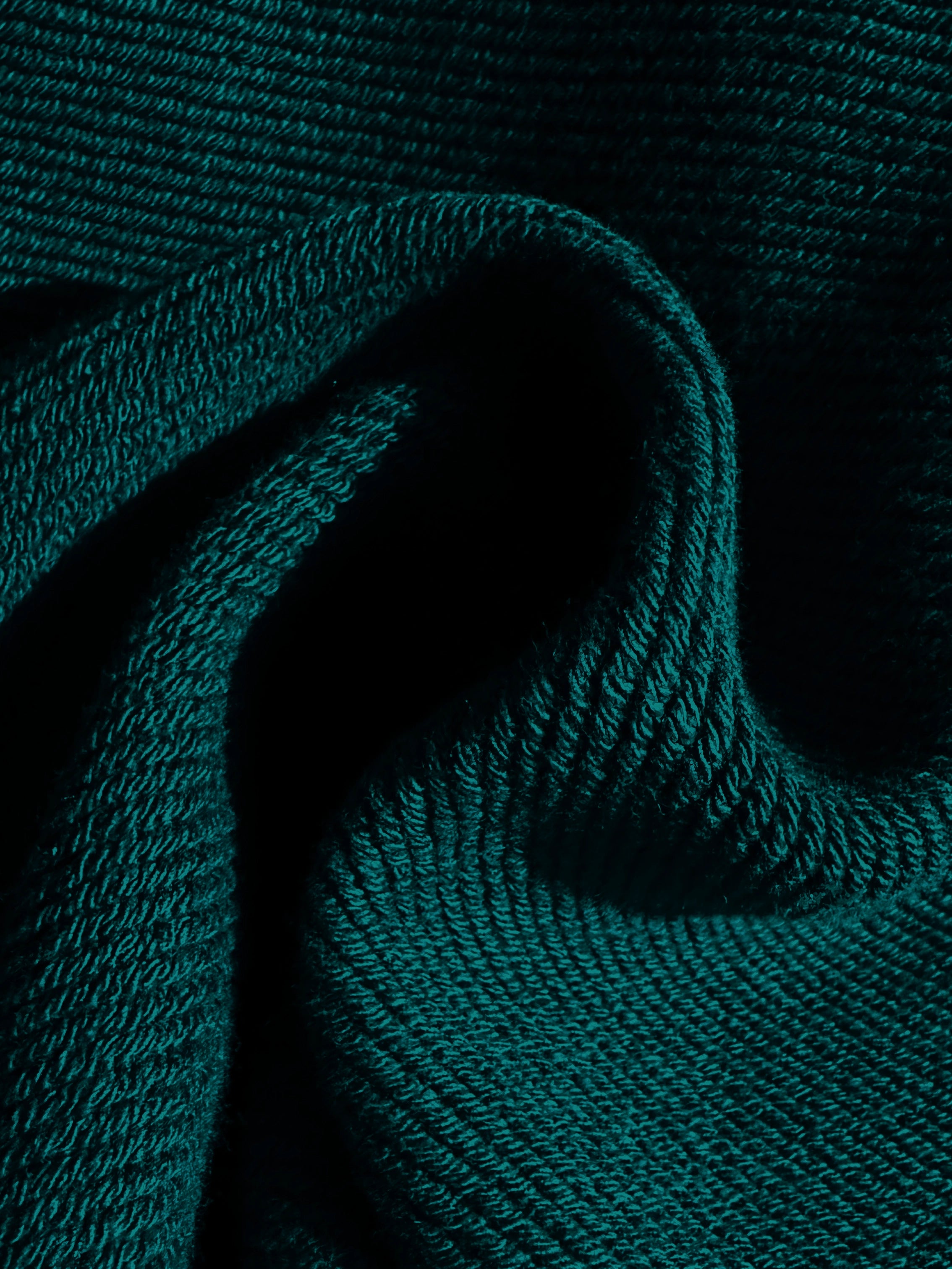 Close-up of a single green leaf against a white background.