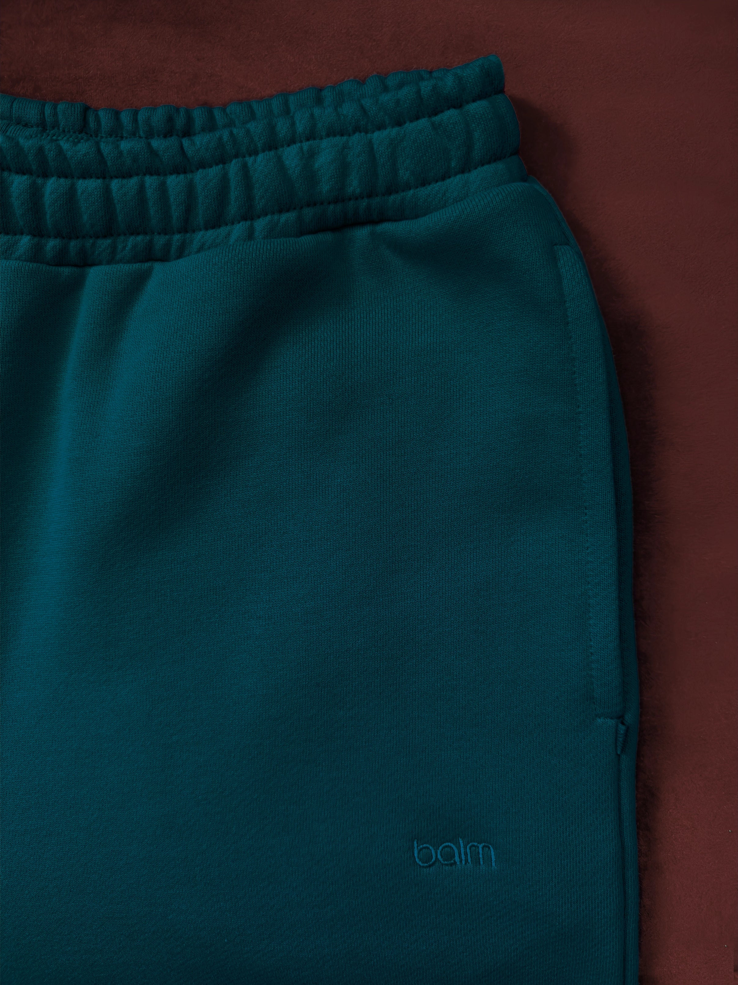 Close-up of a single green leaf against a white background.