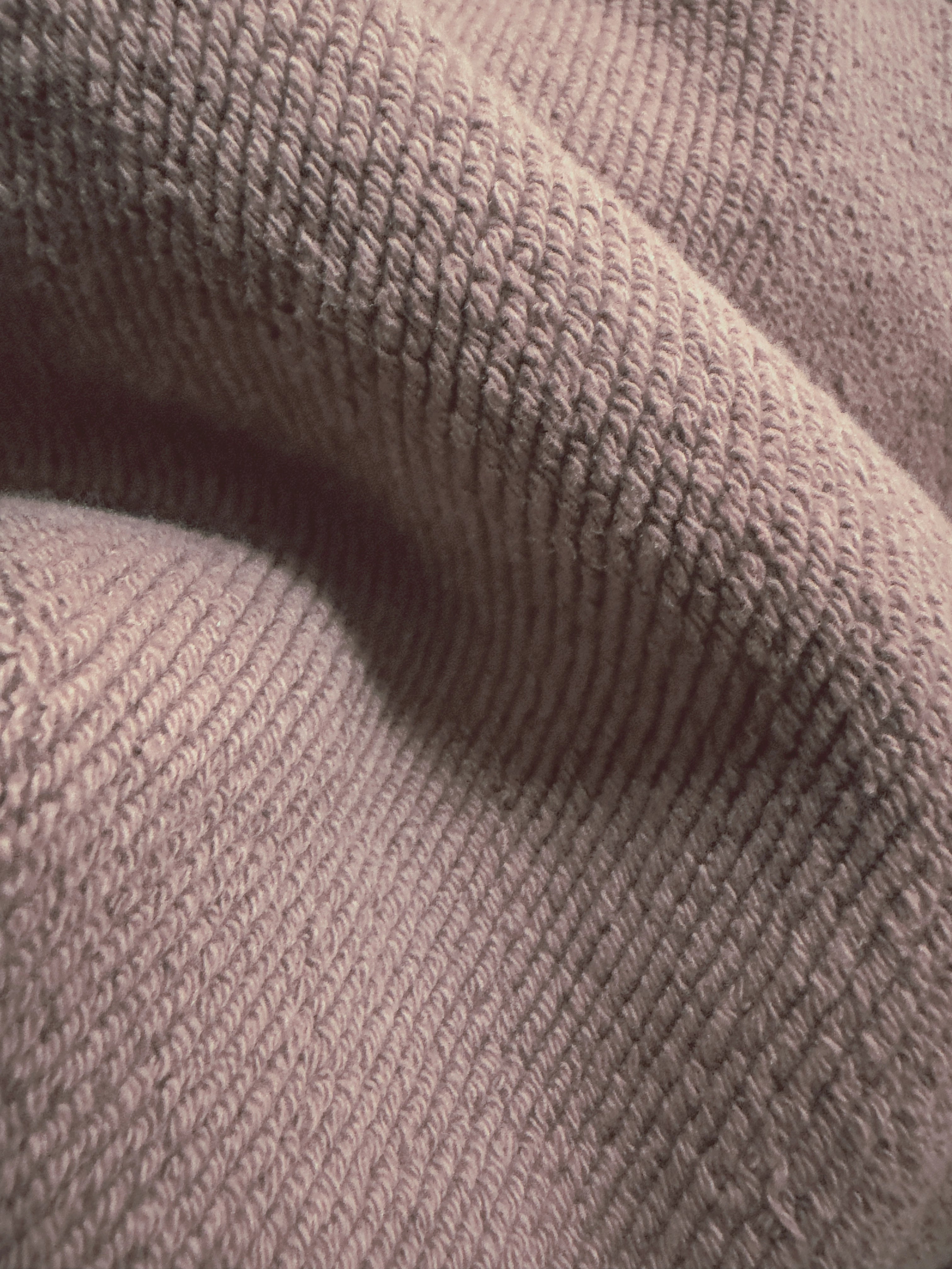 Close-up of a single green leaf against a white background.
