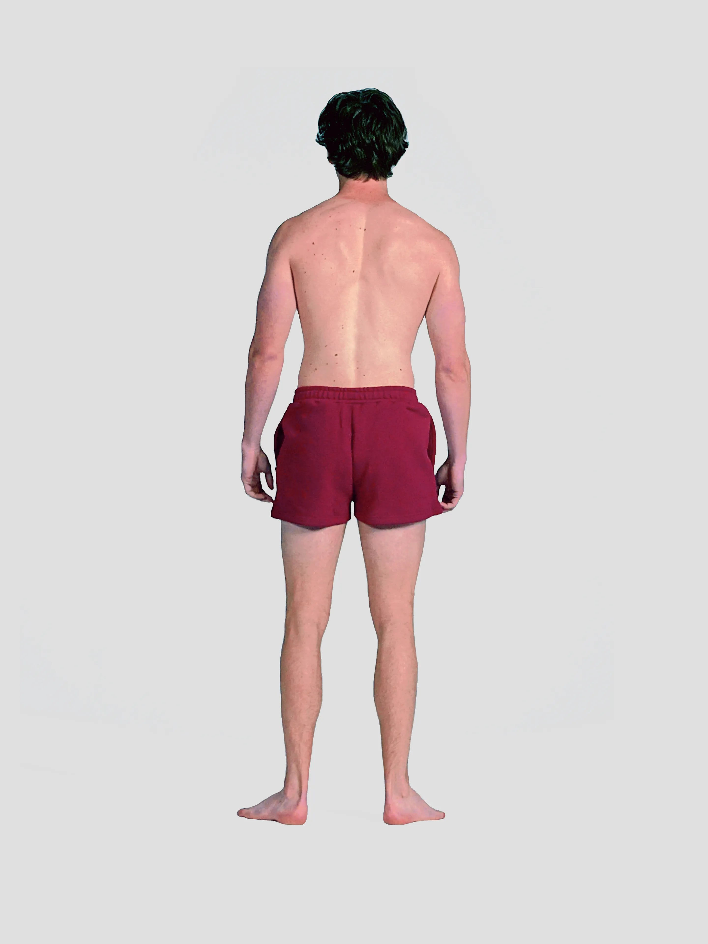 MEN'S BORDEAUX 2" SHORTS