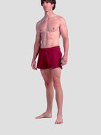 MEN'S BORDEAUX 2" SHORTS