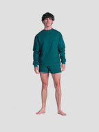 MEN'S EUCALYPTUS 2" SHORTS