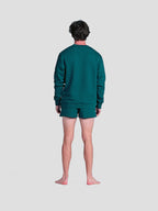 MEN'S EUCALYPTUS 2" SHORTS