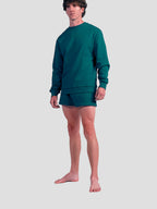 MEN'S EUCALYPTUS CREW