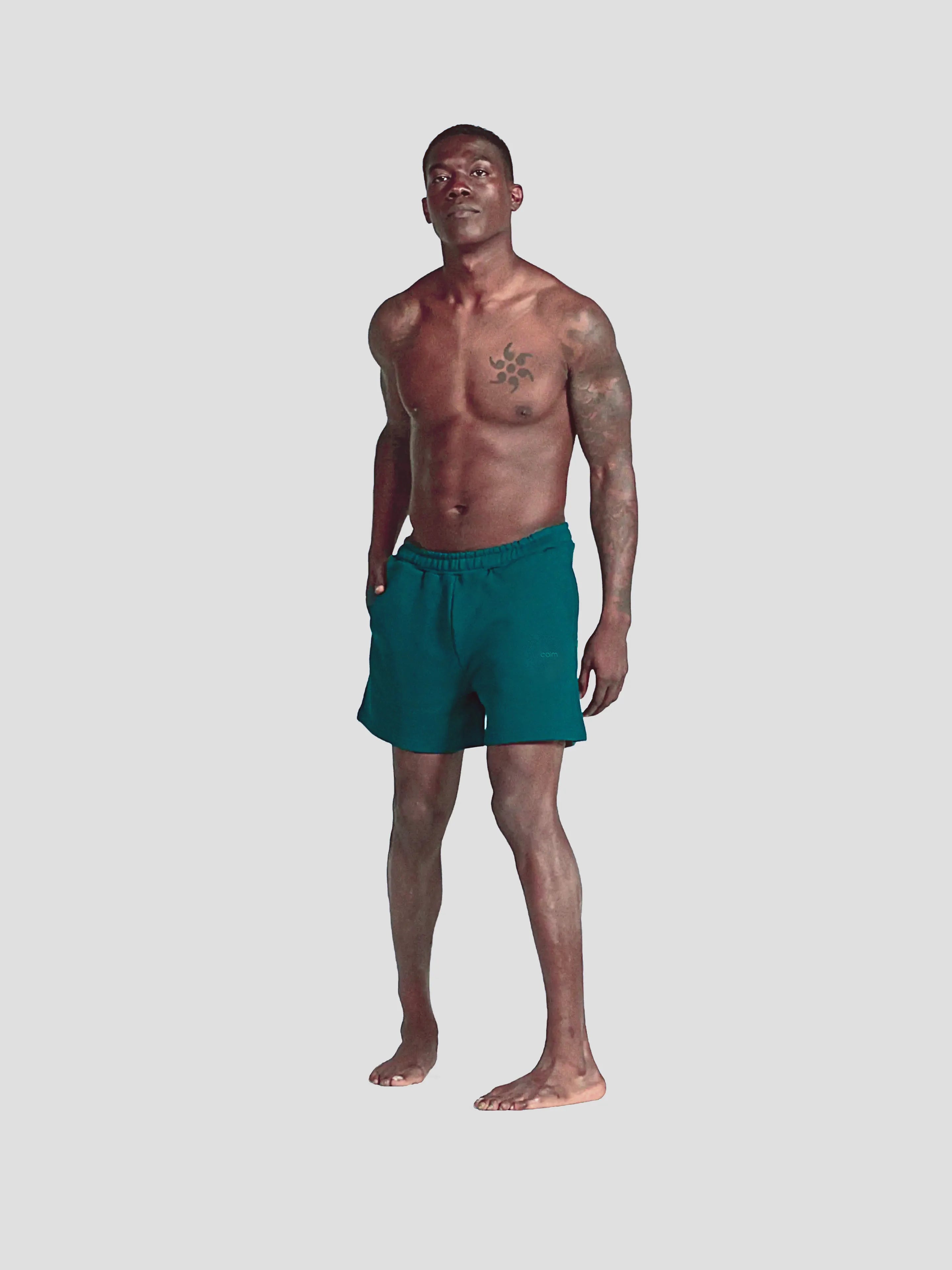 MEN'S EUCALYPTUS 4" SHORTS