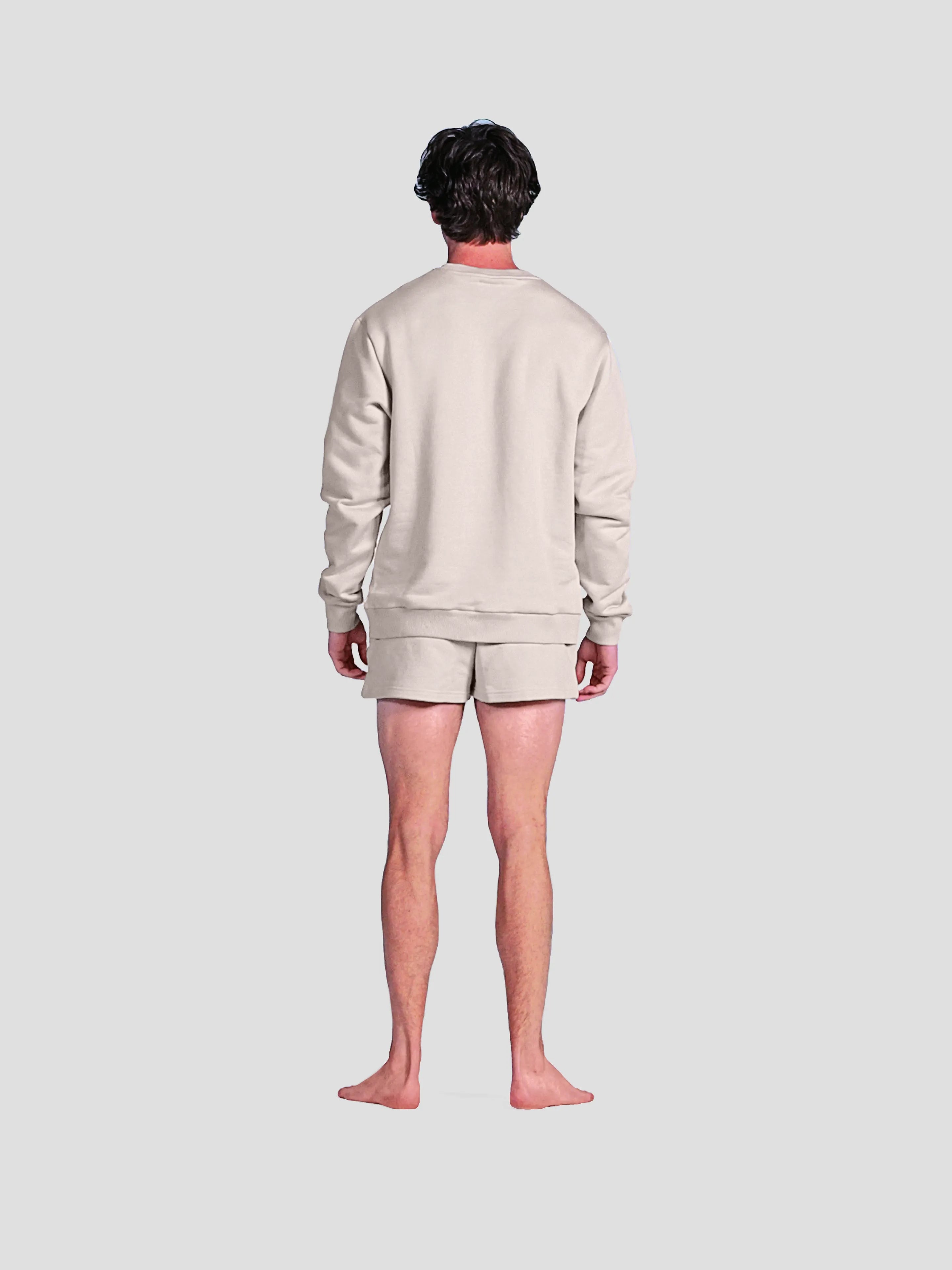 MEN'S SANDSTONE 2" SHORTS