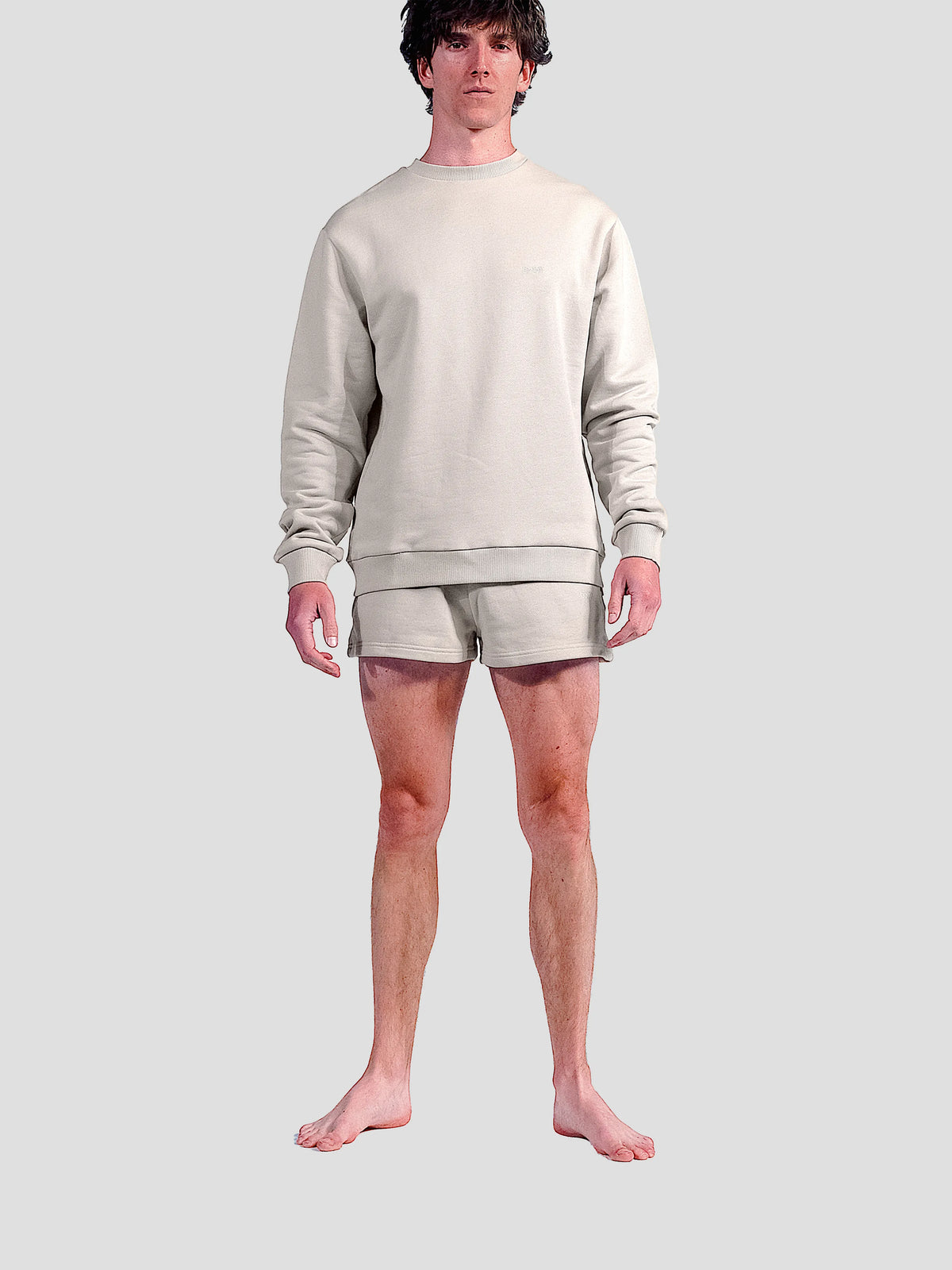 MEN'S SANDSTONE CREW
