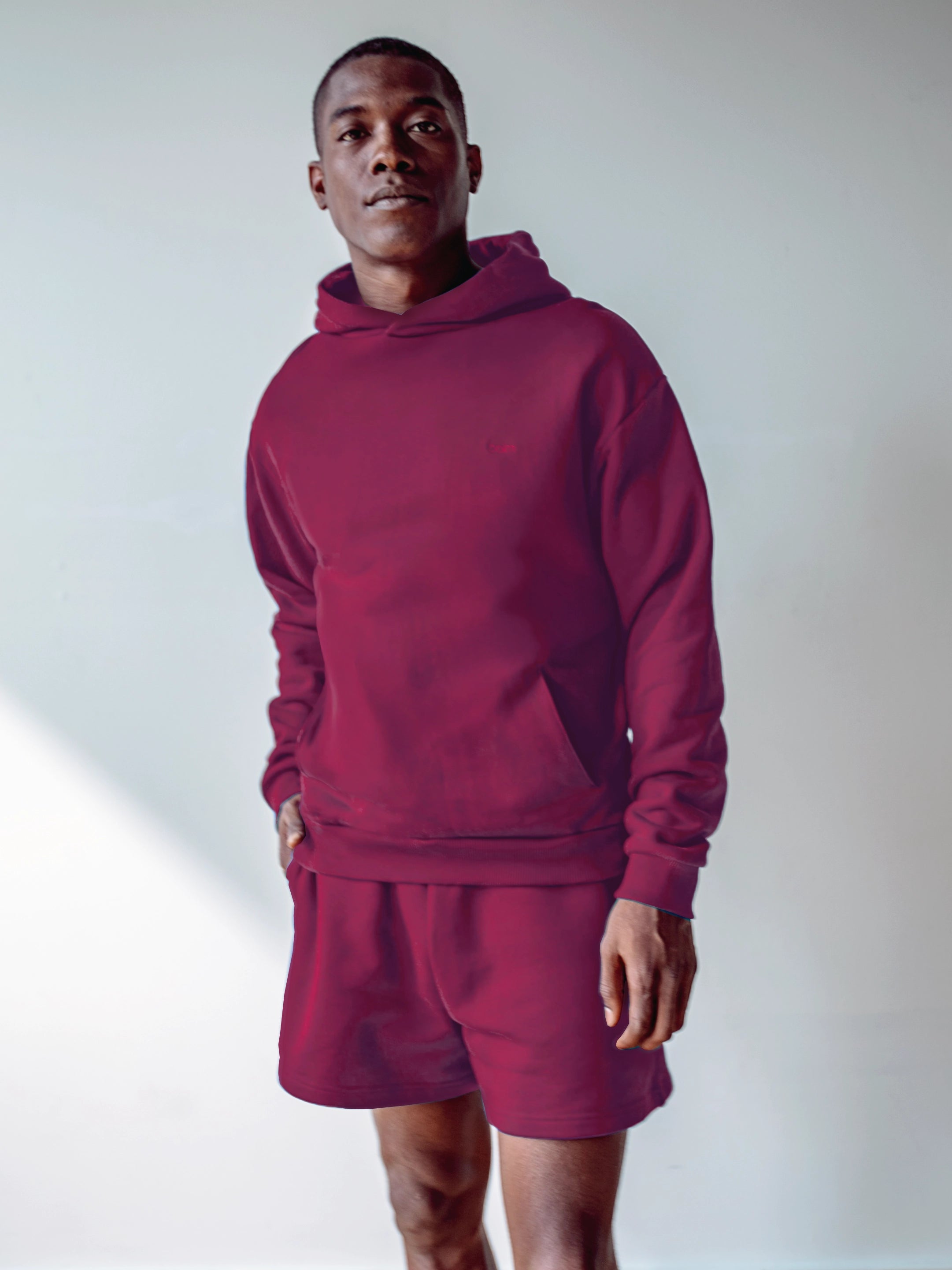 Close-up of a single green leaf against a white background.