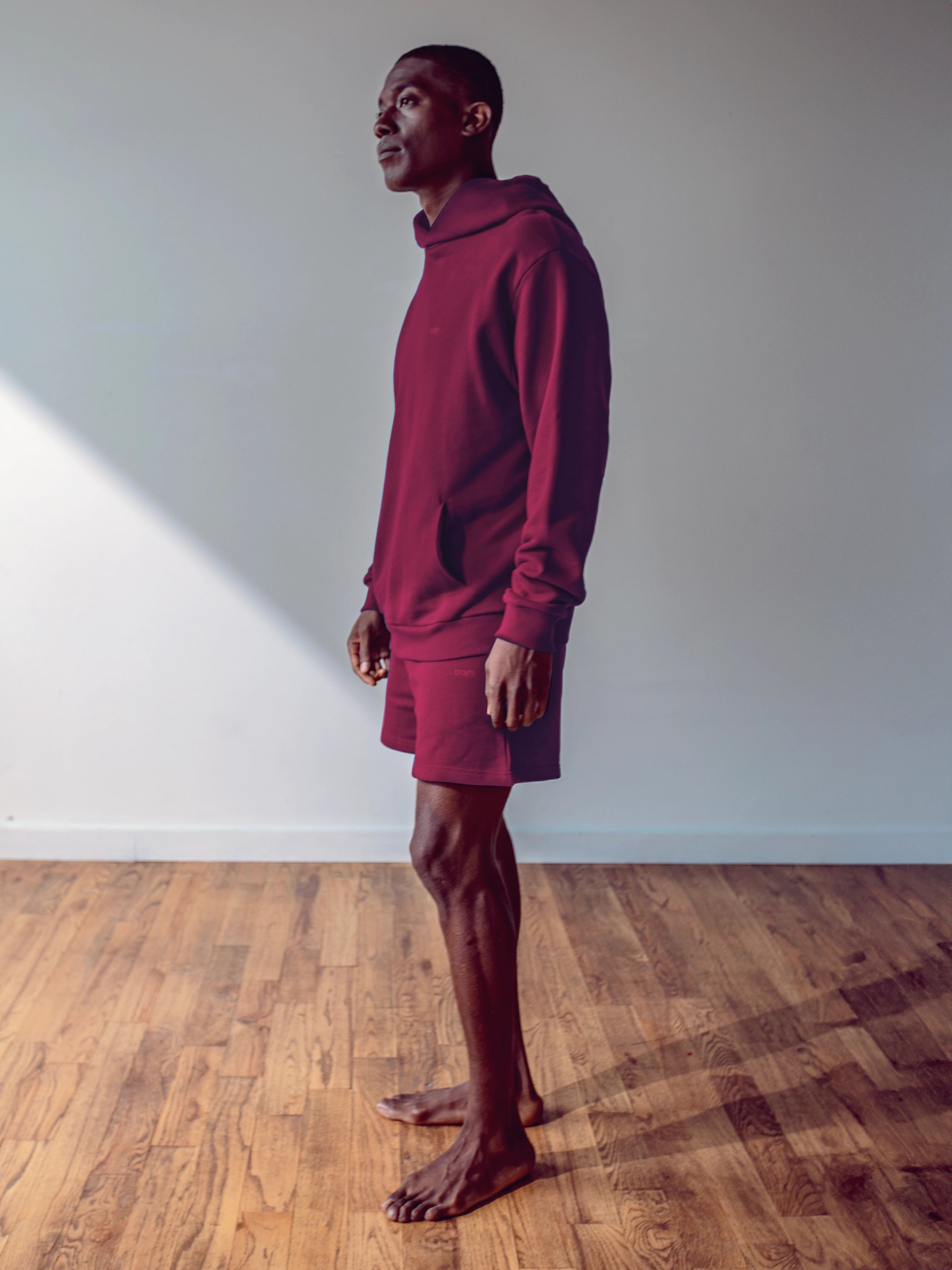 Close-up of a single green leaf against a white background.