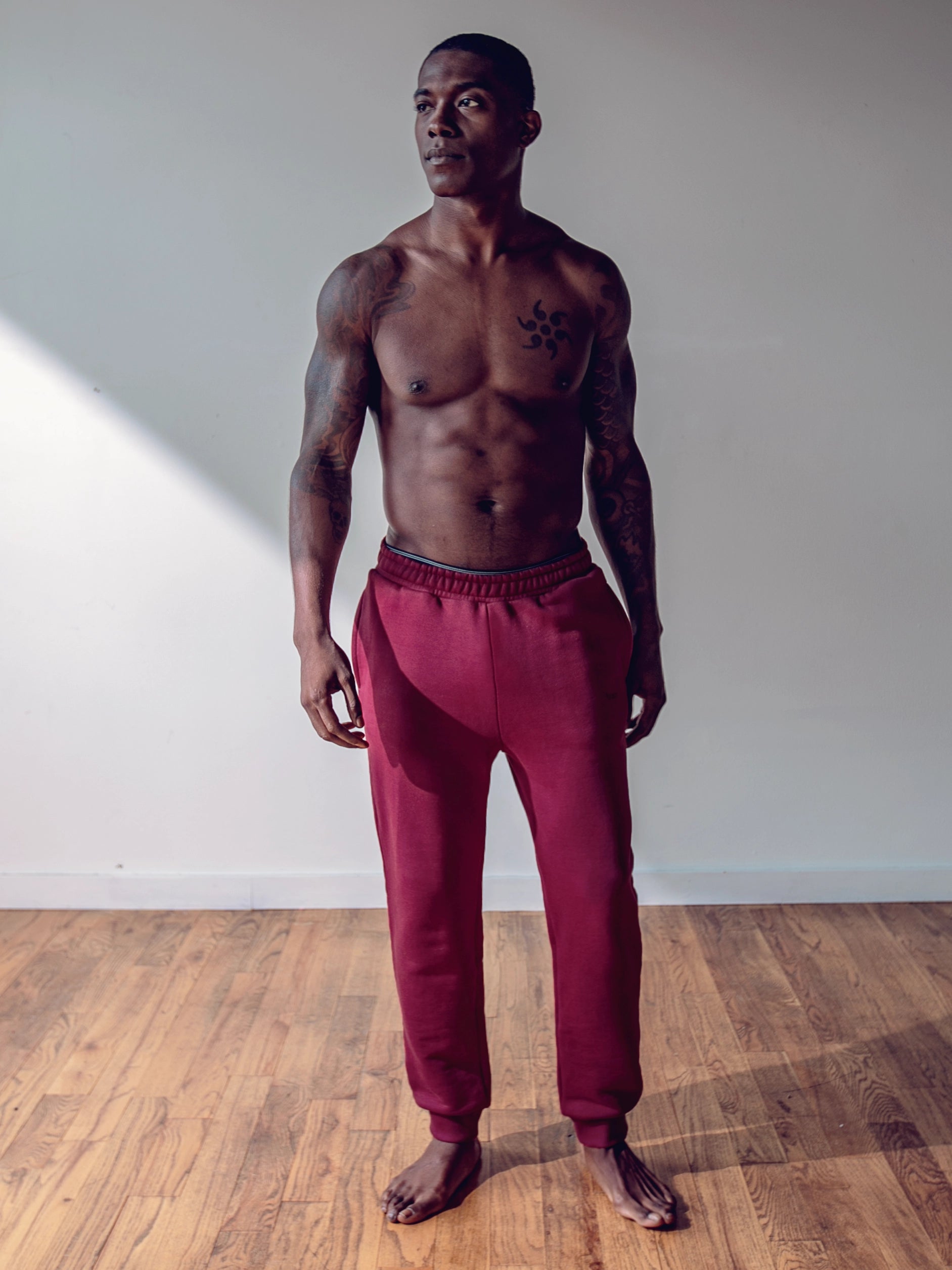 Close-up of a single green leaf against a white background.