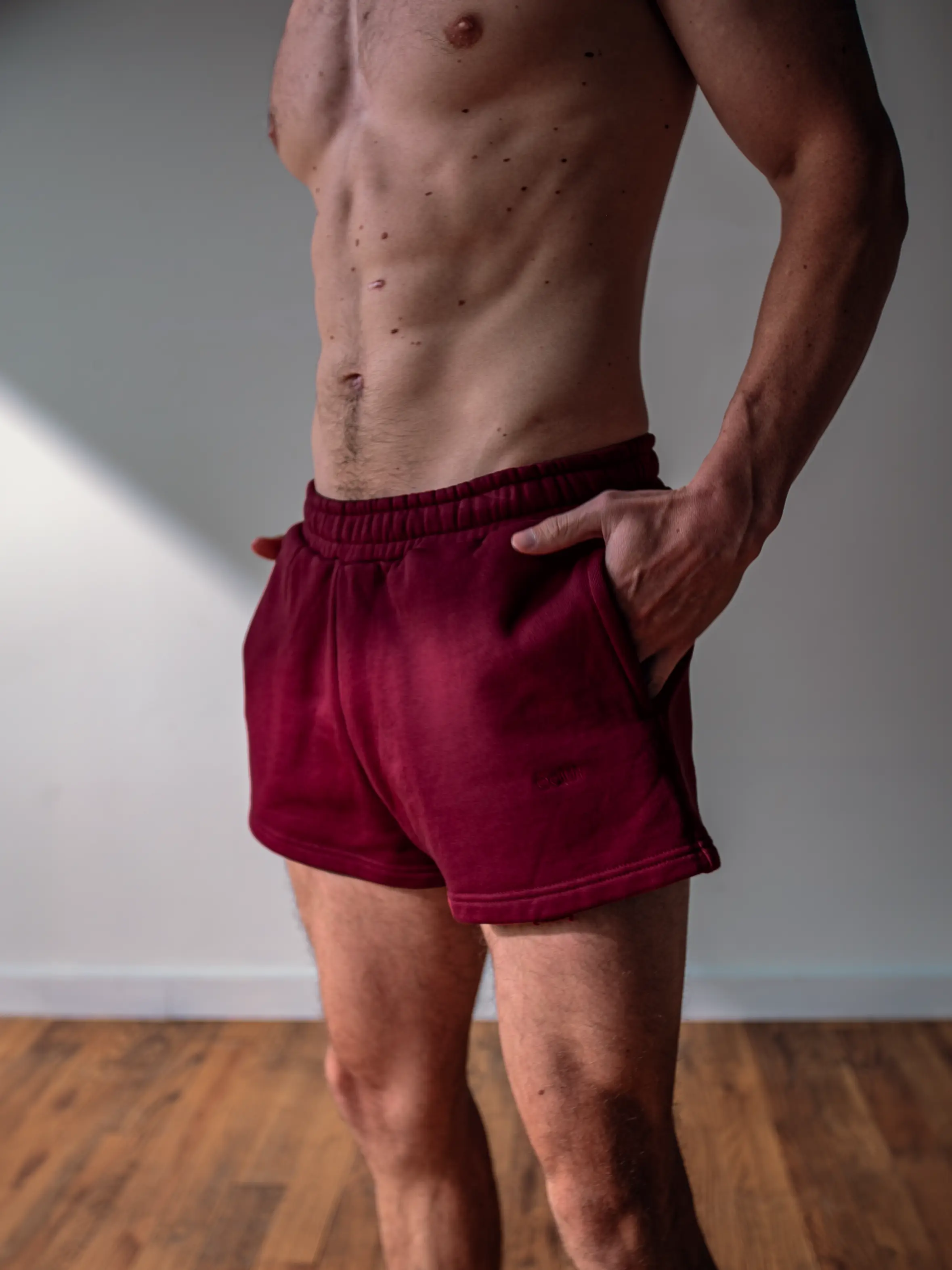 MENS BORDEAUX 2" SHORTS