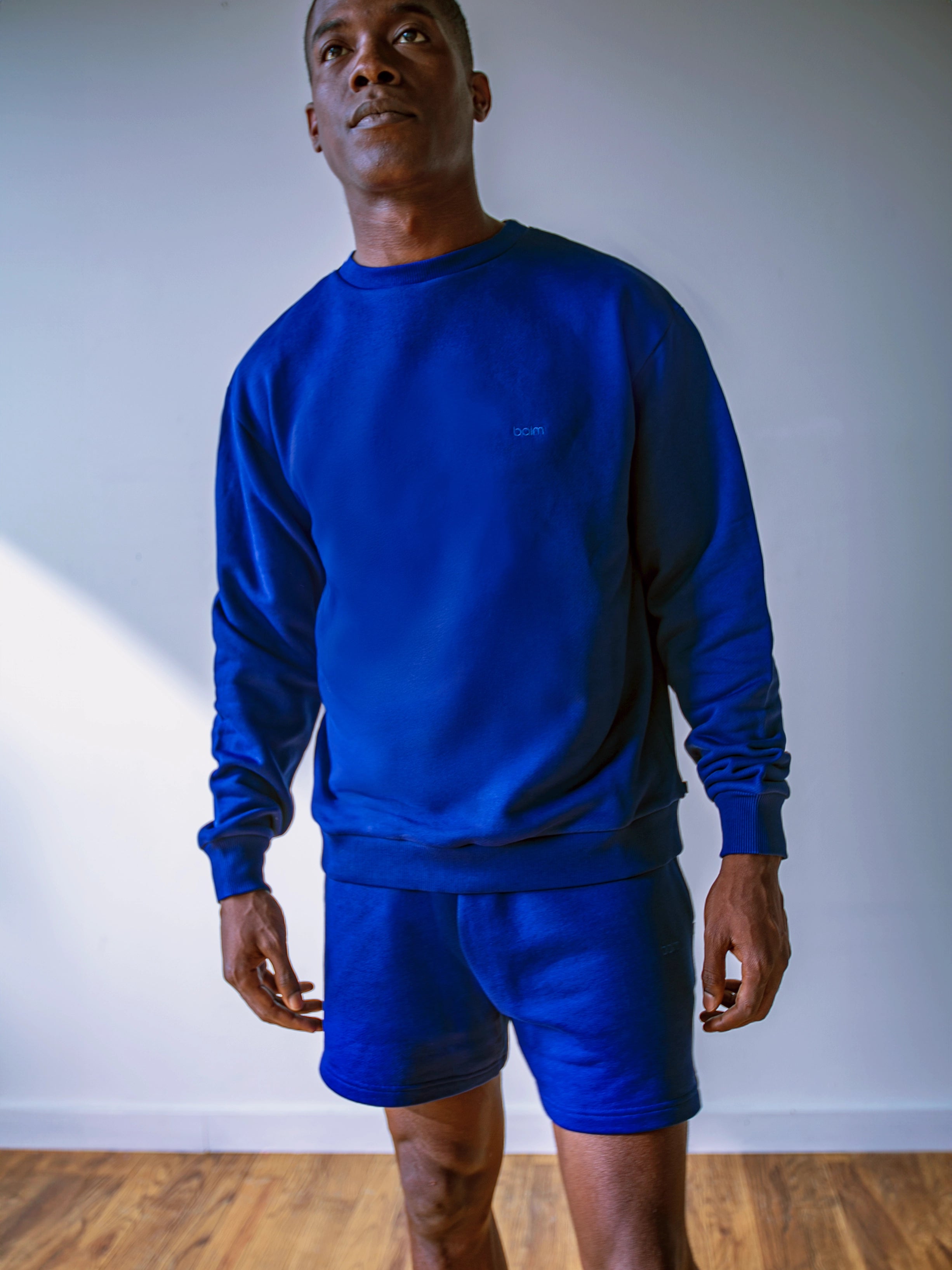 MEN'S CERULEAN CREW