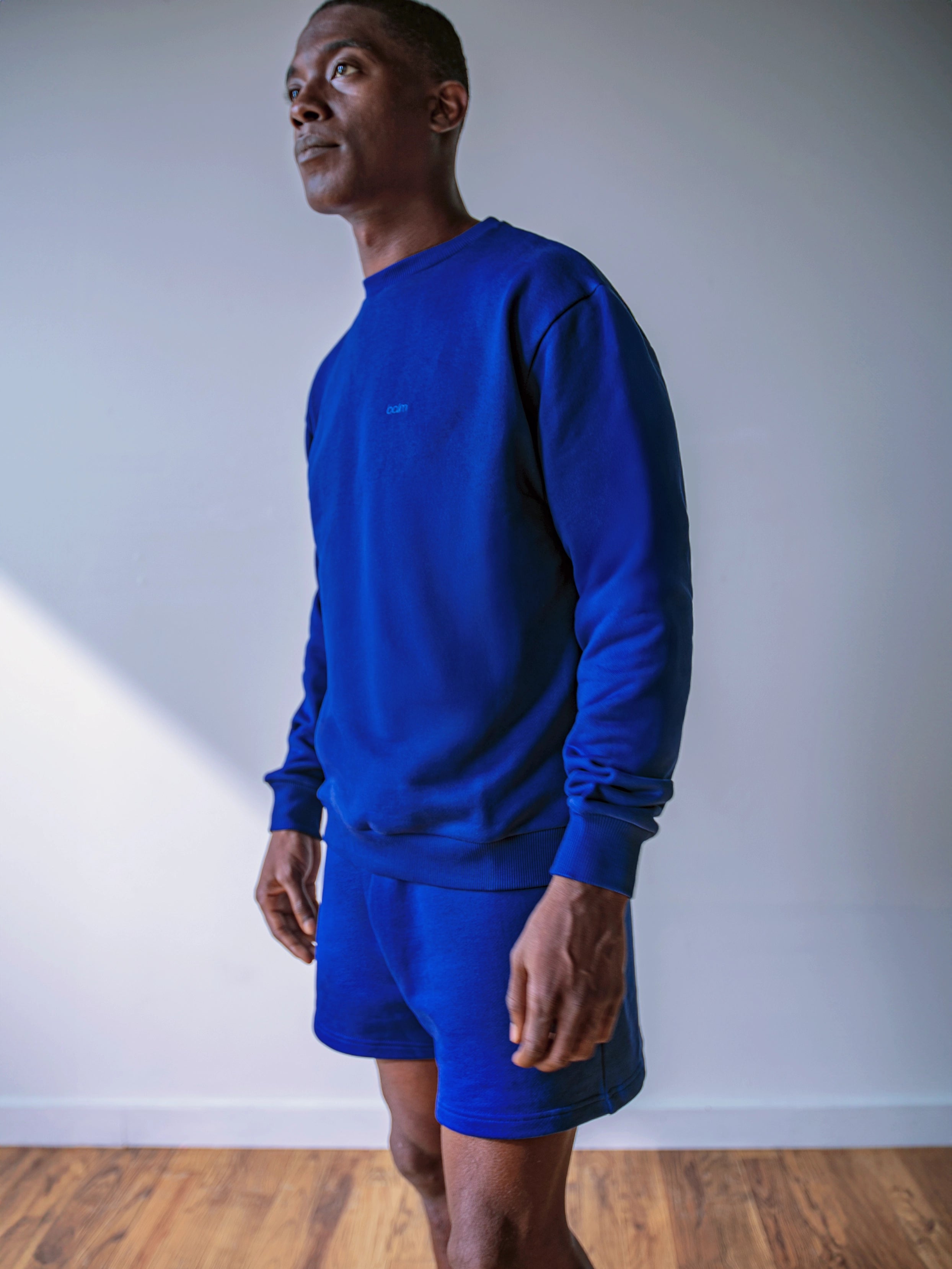 Close-up of a single green leaf against a white background.
