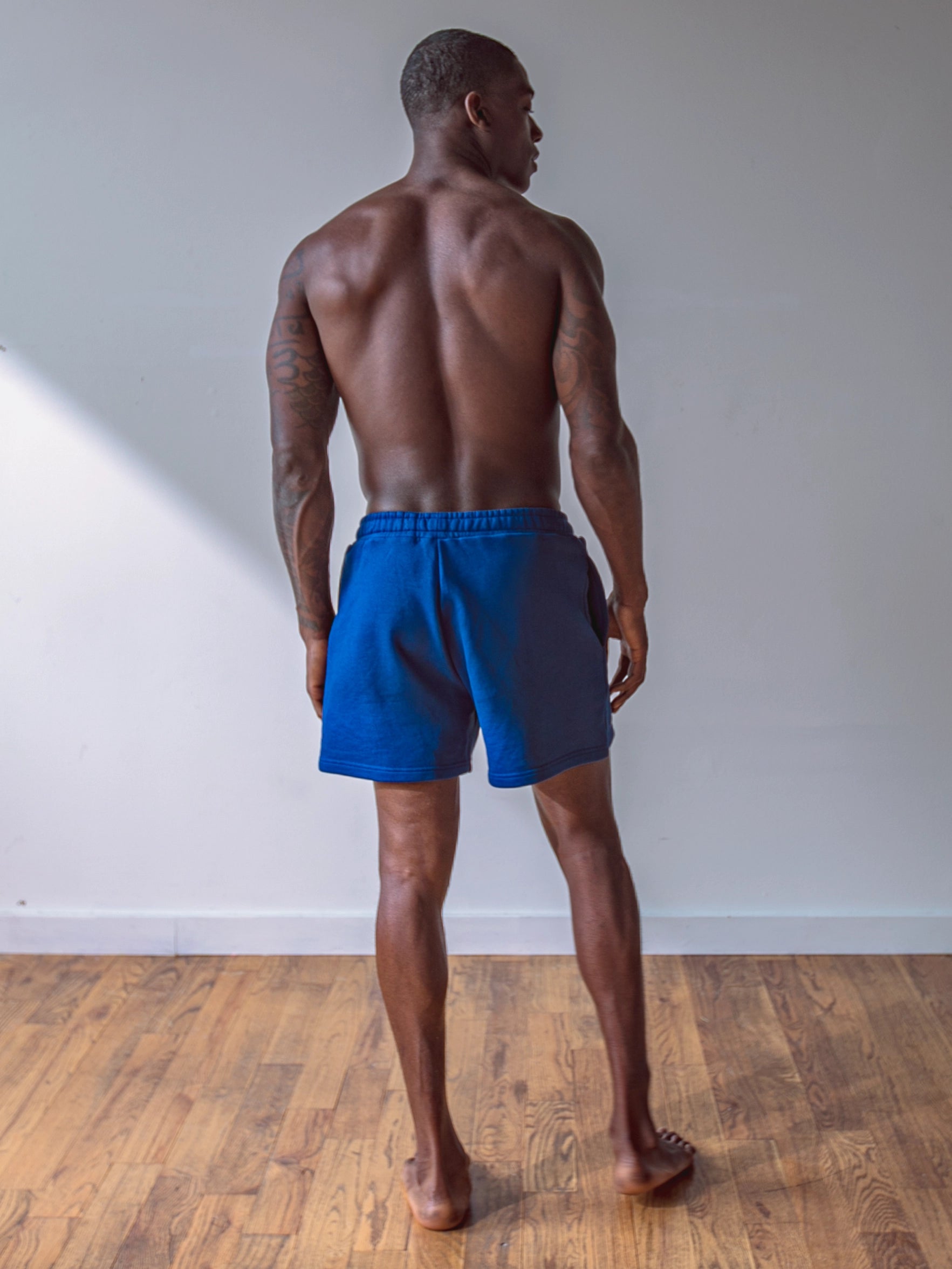 Close-up of a single green leaf against a white background.