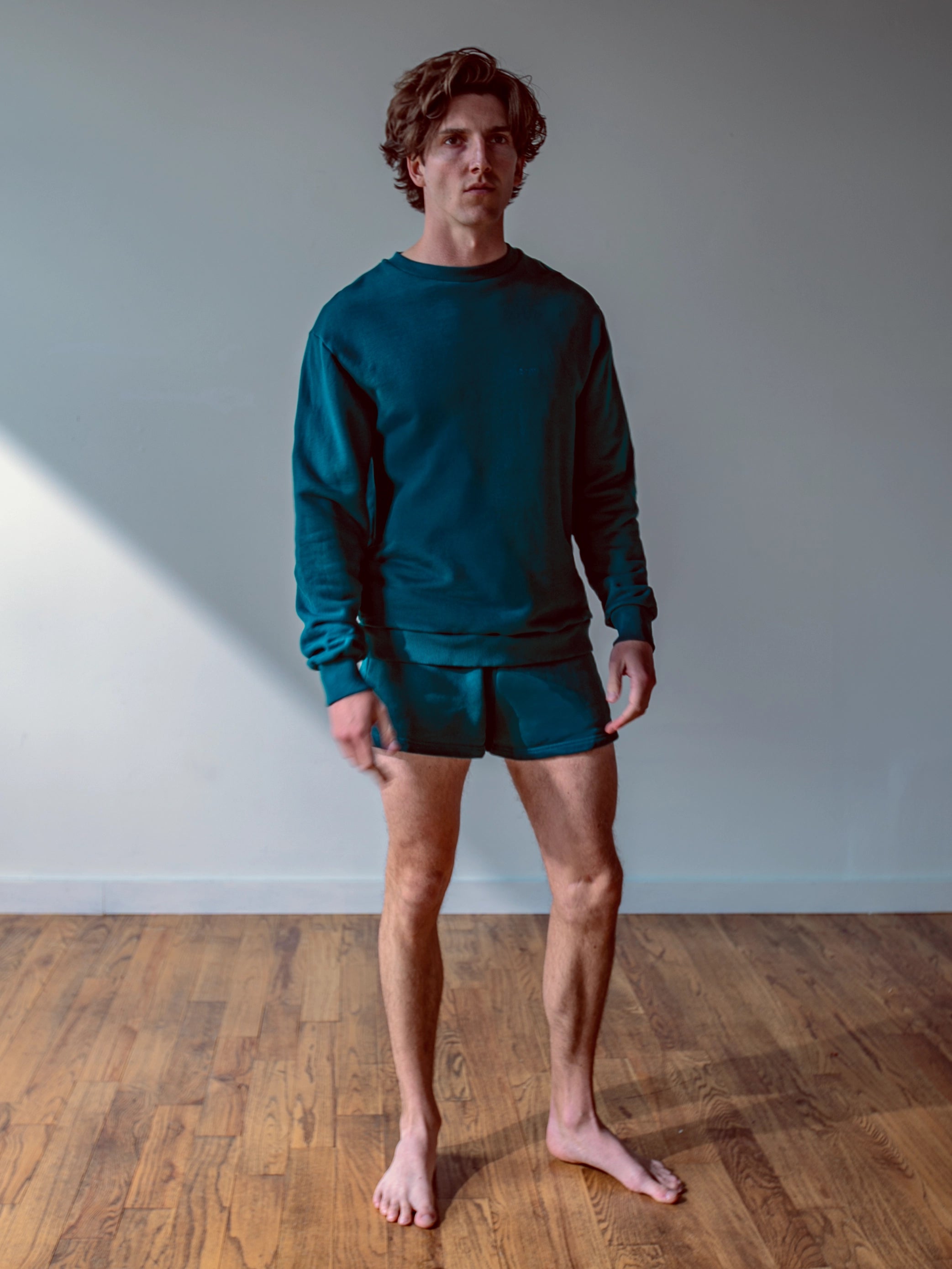 Close-up of a single green leaf against a white background.