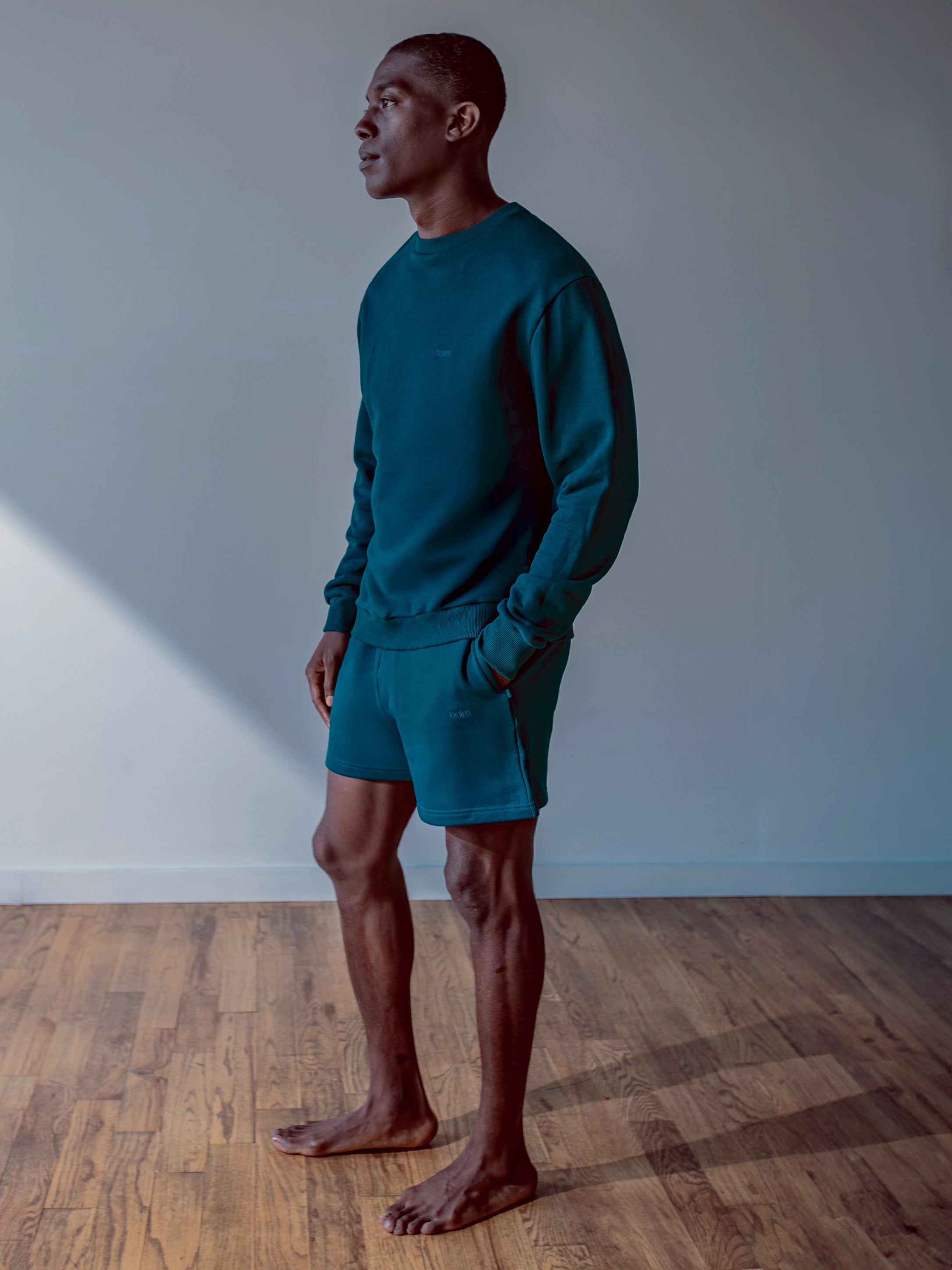 Close-up of a single green leaf against a white background.