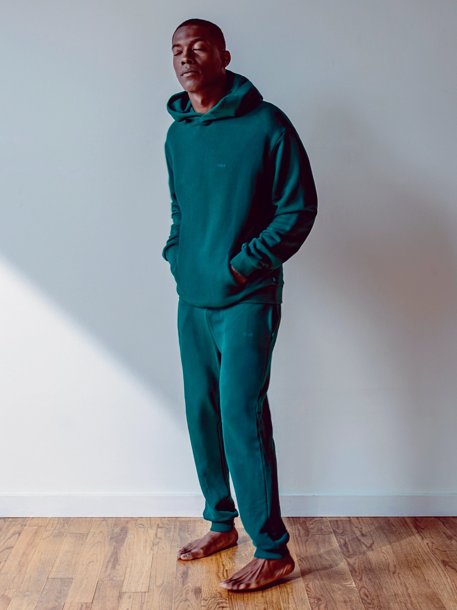 Close-up of a single green leaf against a white background.
