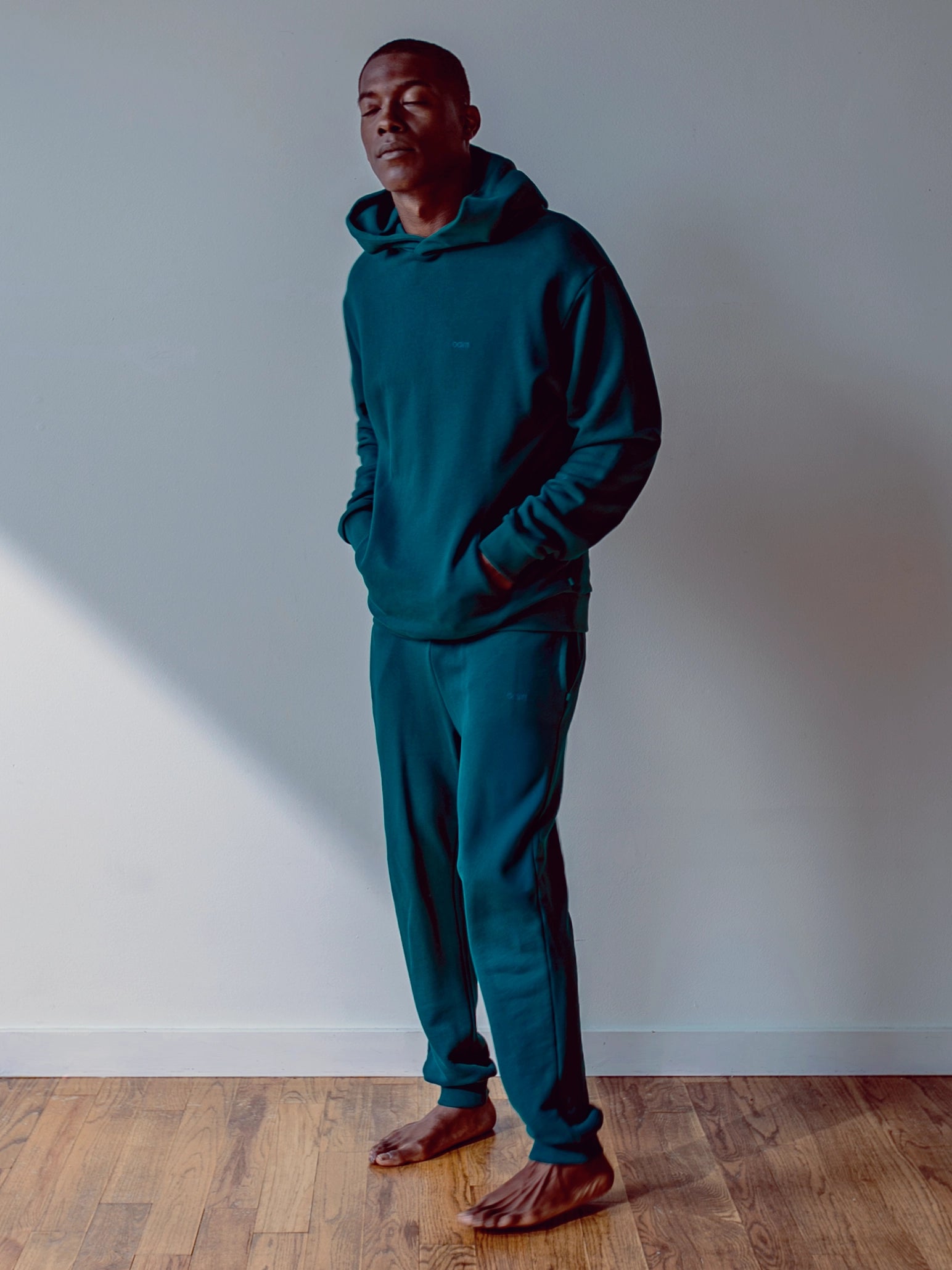 Close-up of a single green leaf against a white background.