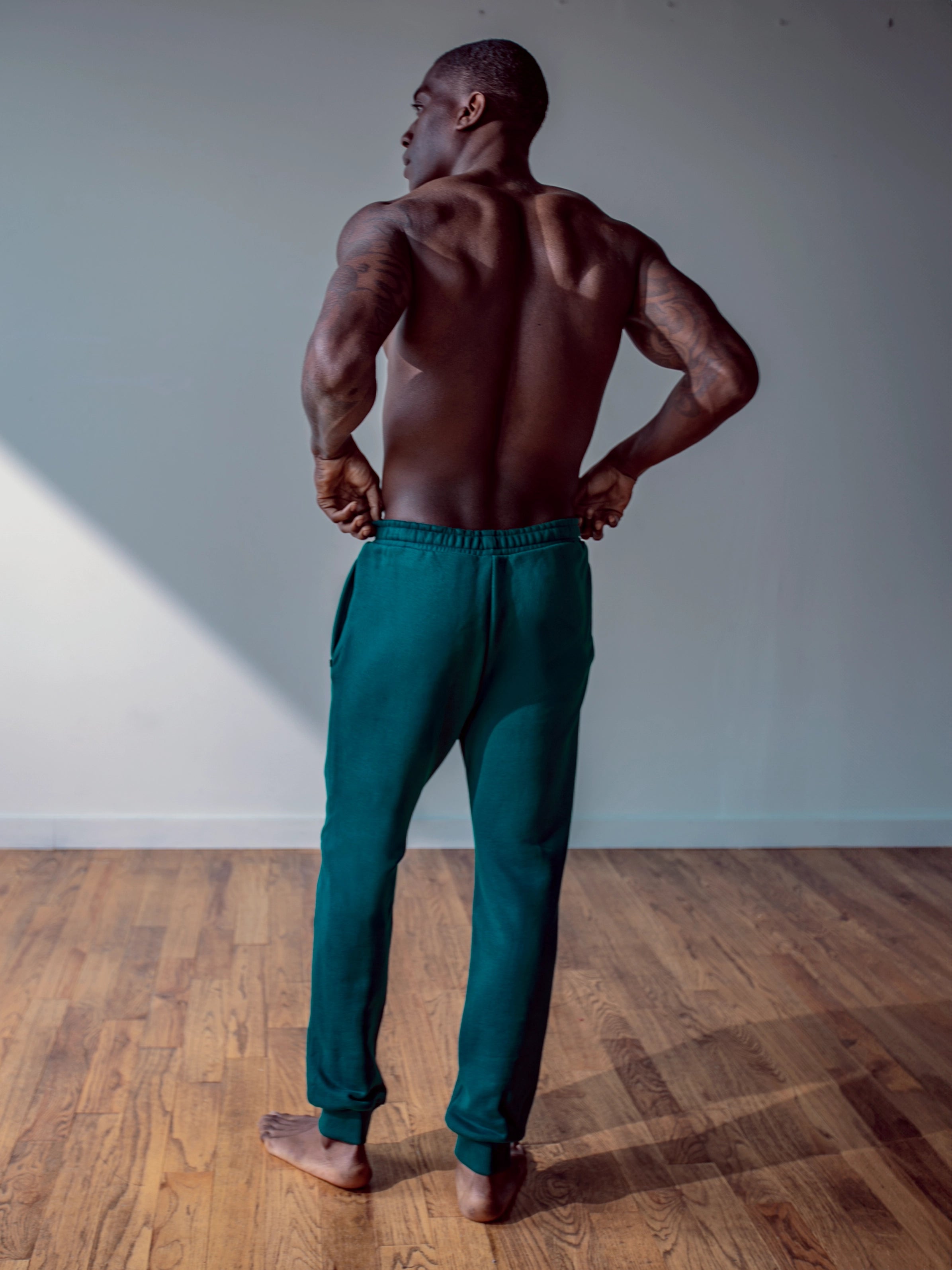 Close-up of a single green leaf against a white background.