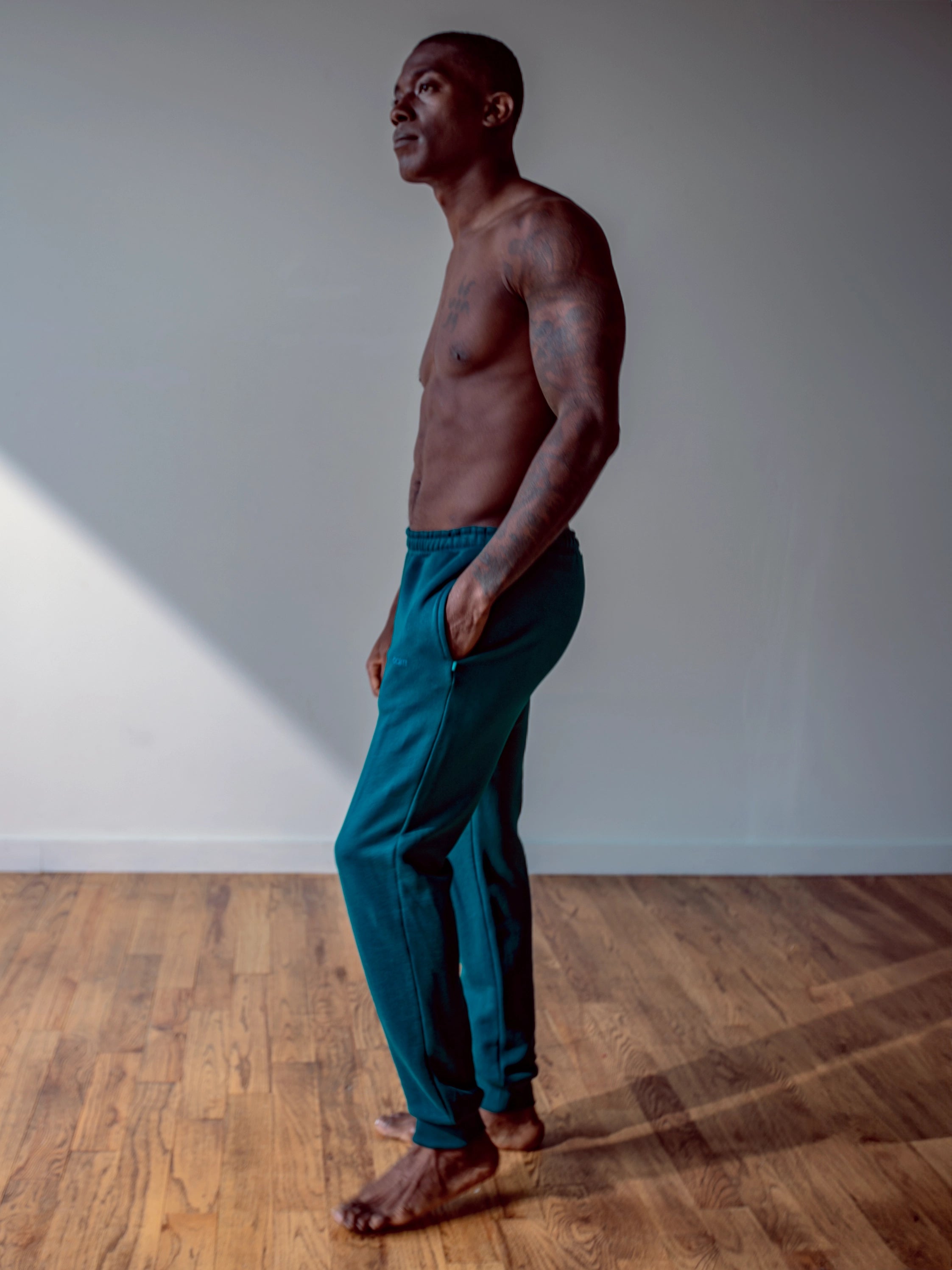 Close-up of a single green leaf against a white background.