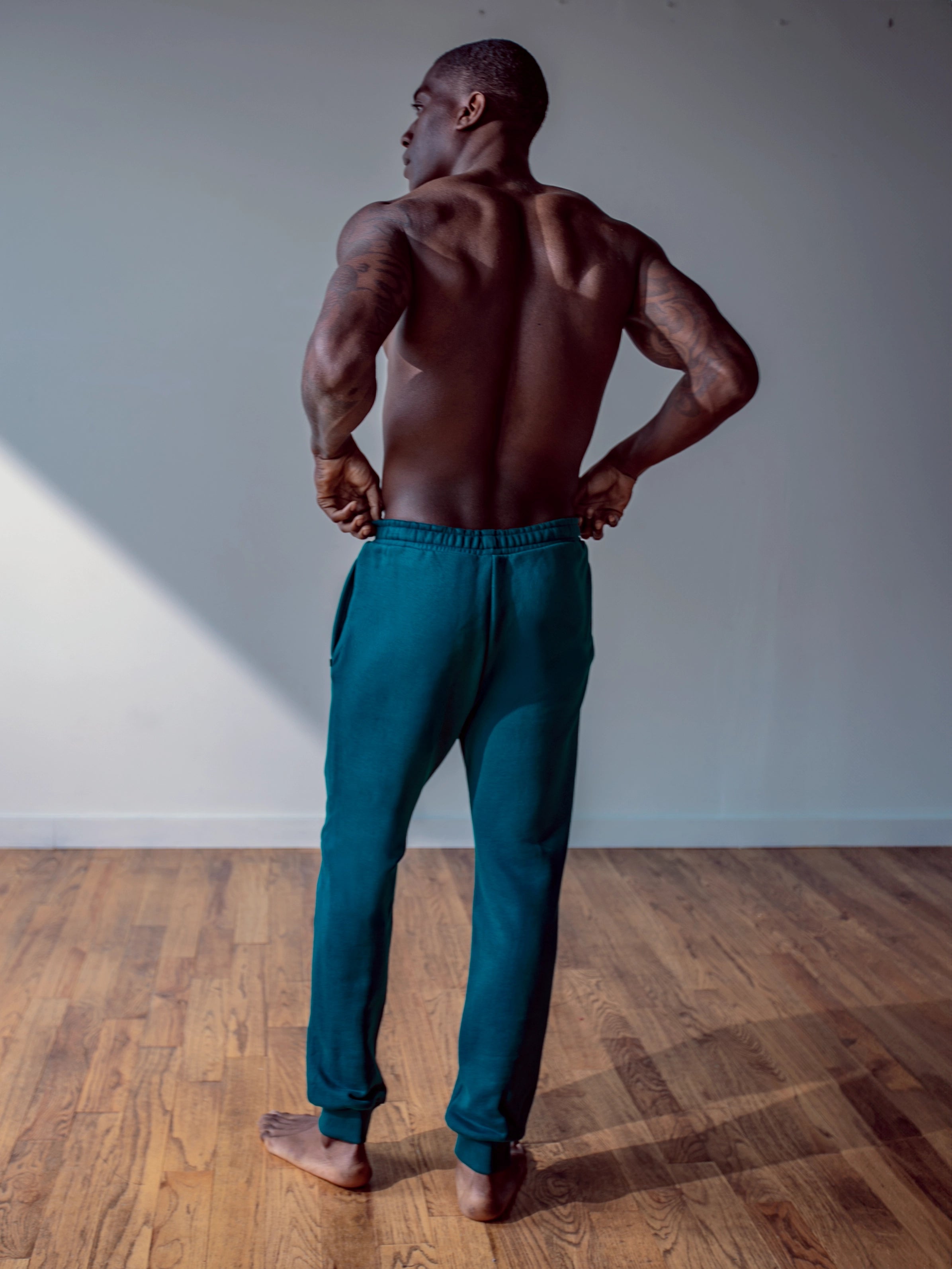 Close-up of a single green leaf against a white background.