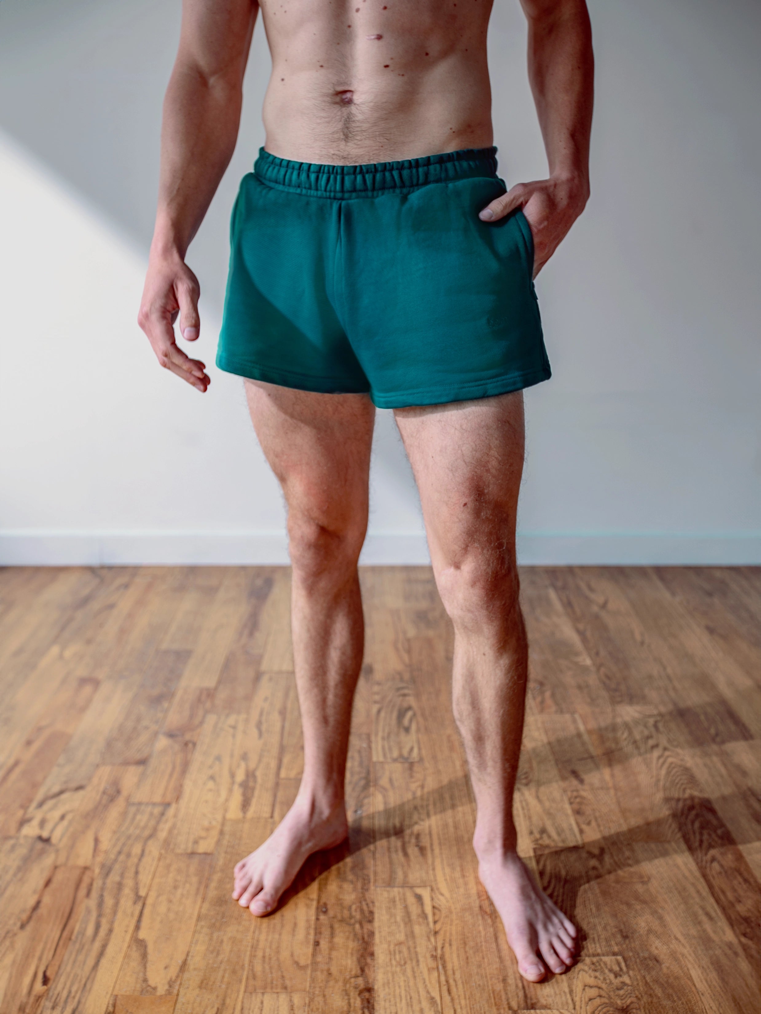 MEN'S EUCALYPTUS 2" SHORTS