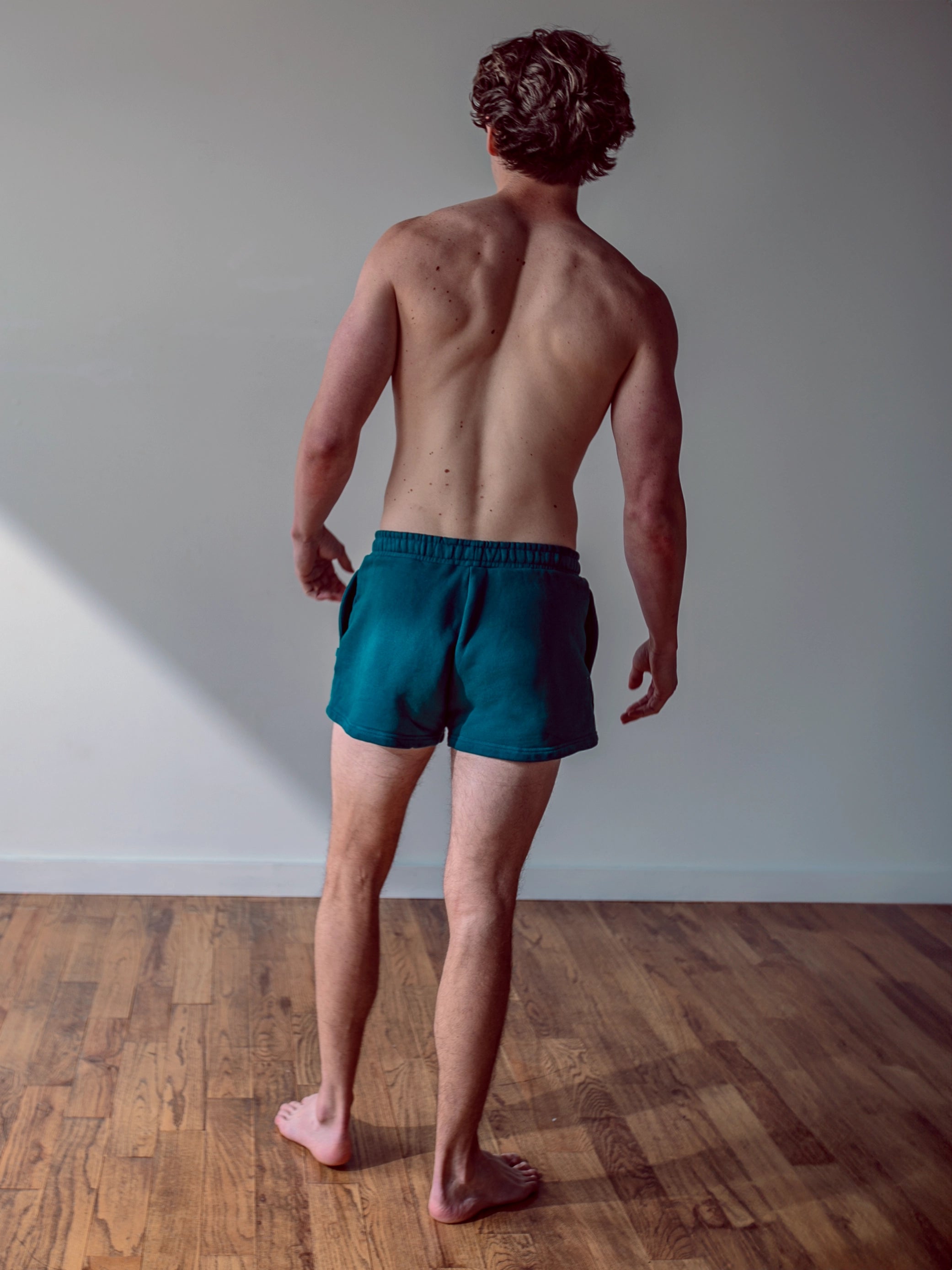 Close-up of a single green leaf against a white background.