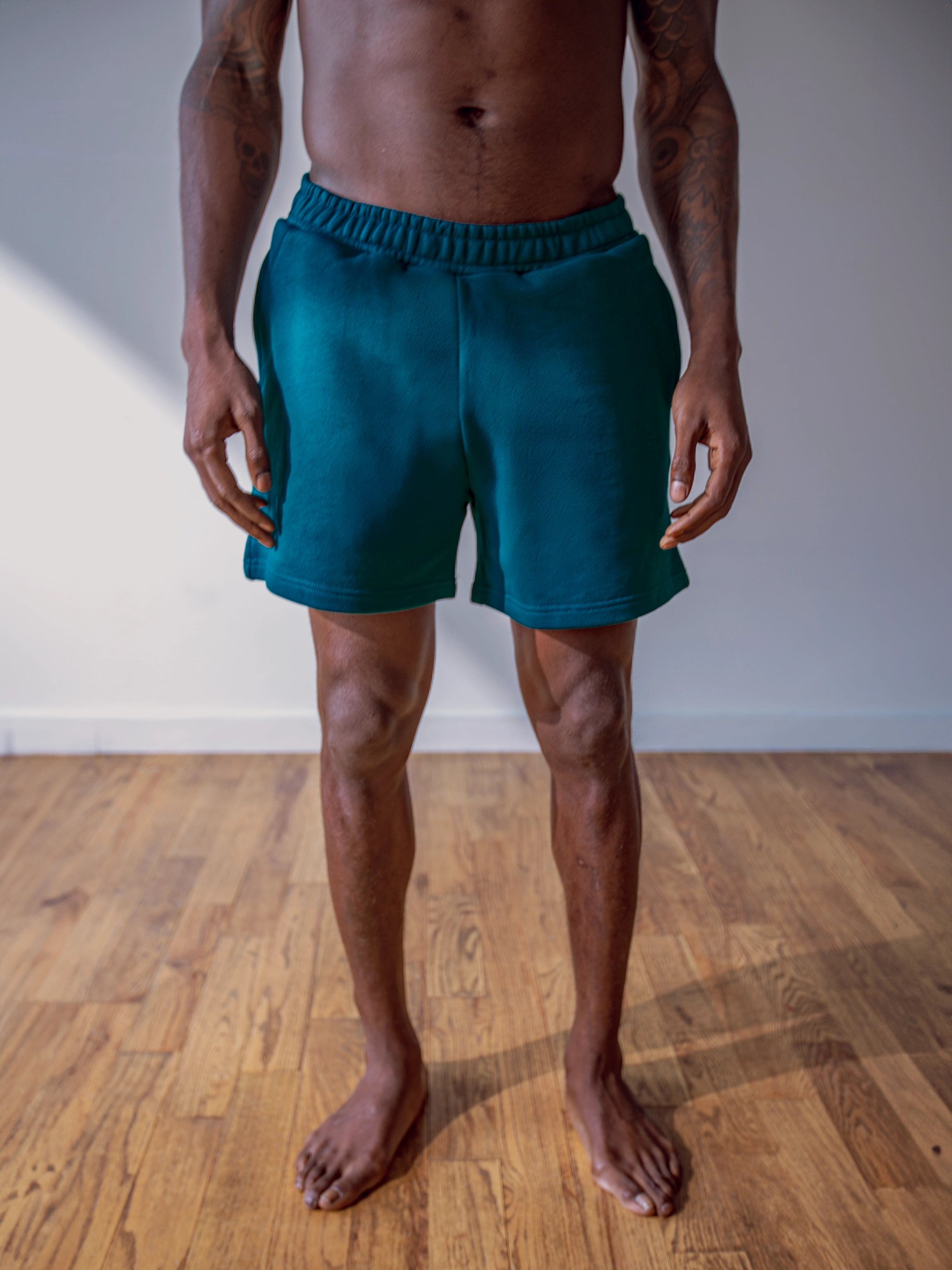 MEN'S EUCALYPTUS 4" SHORTS
