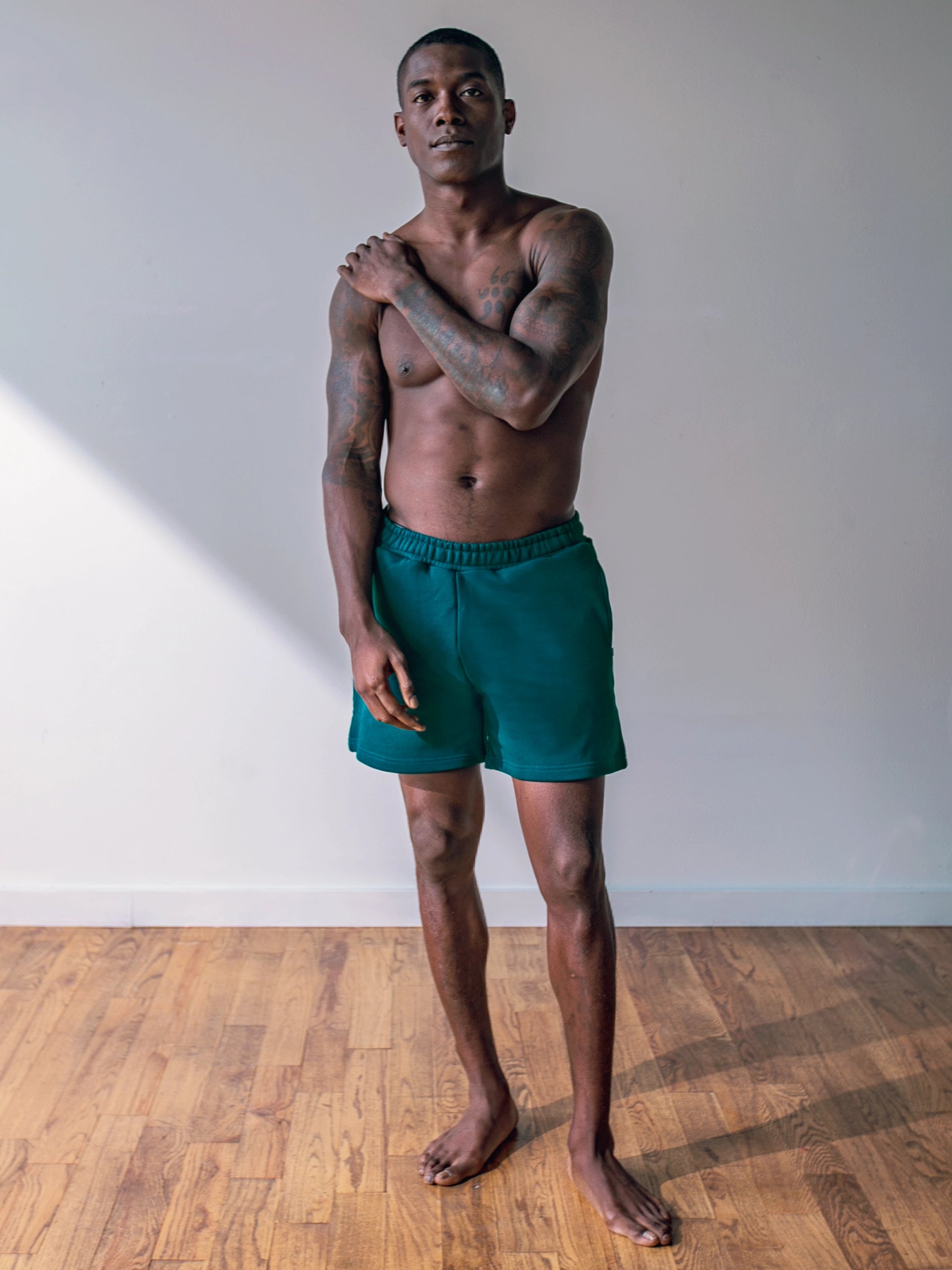 Close-up of a single green leaf against a white background.