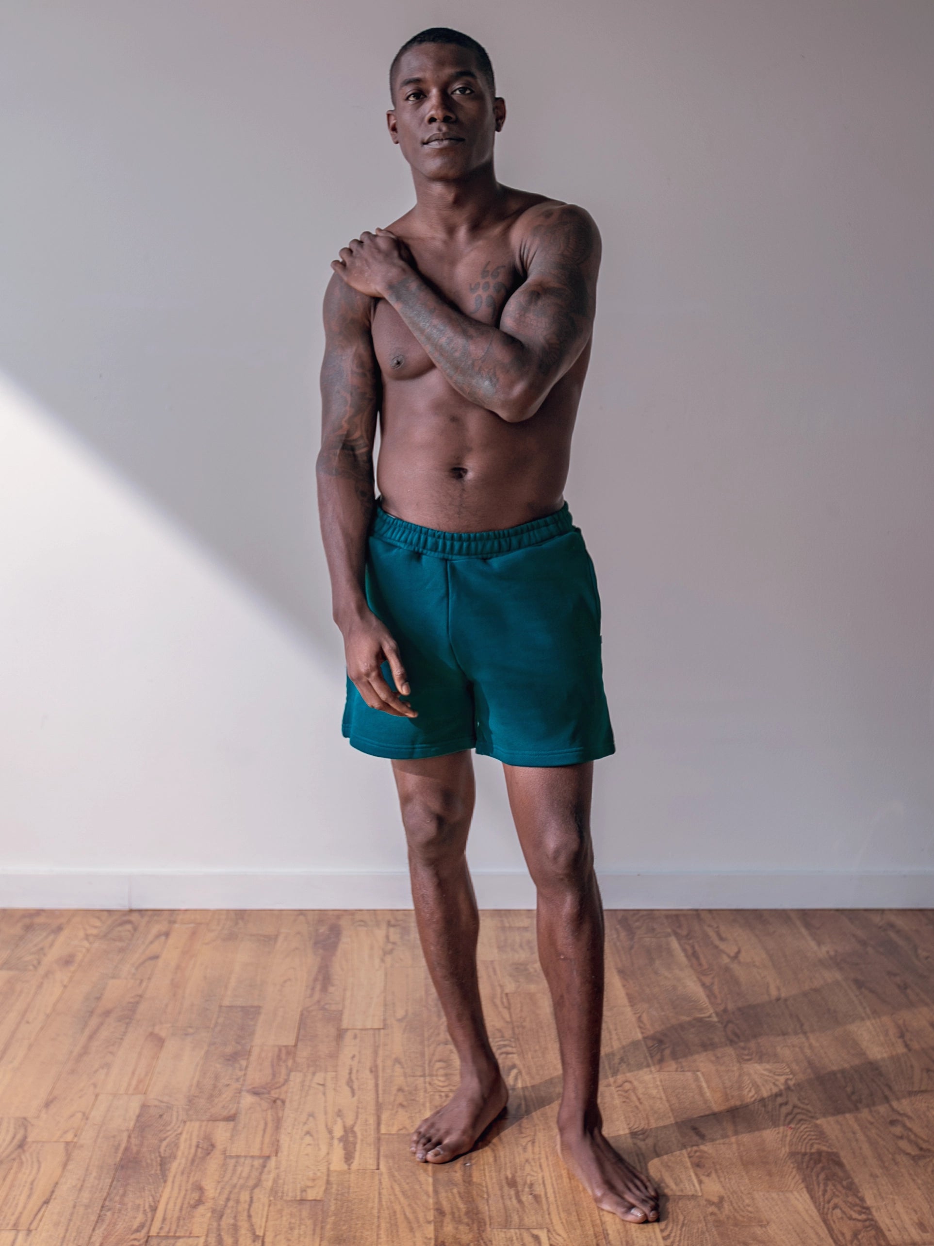 Close-up of a single green leaf against a white background.