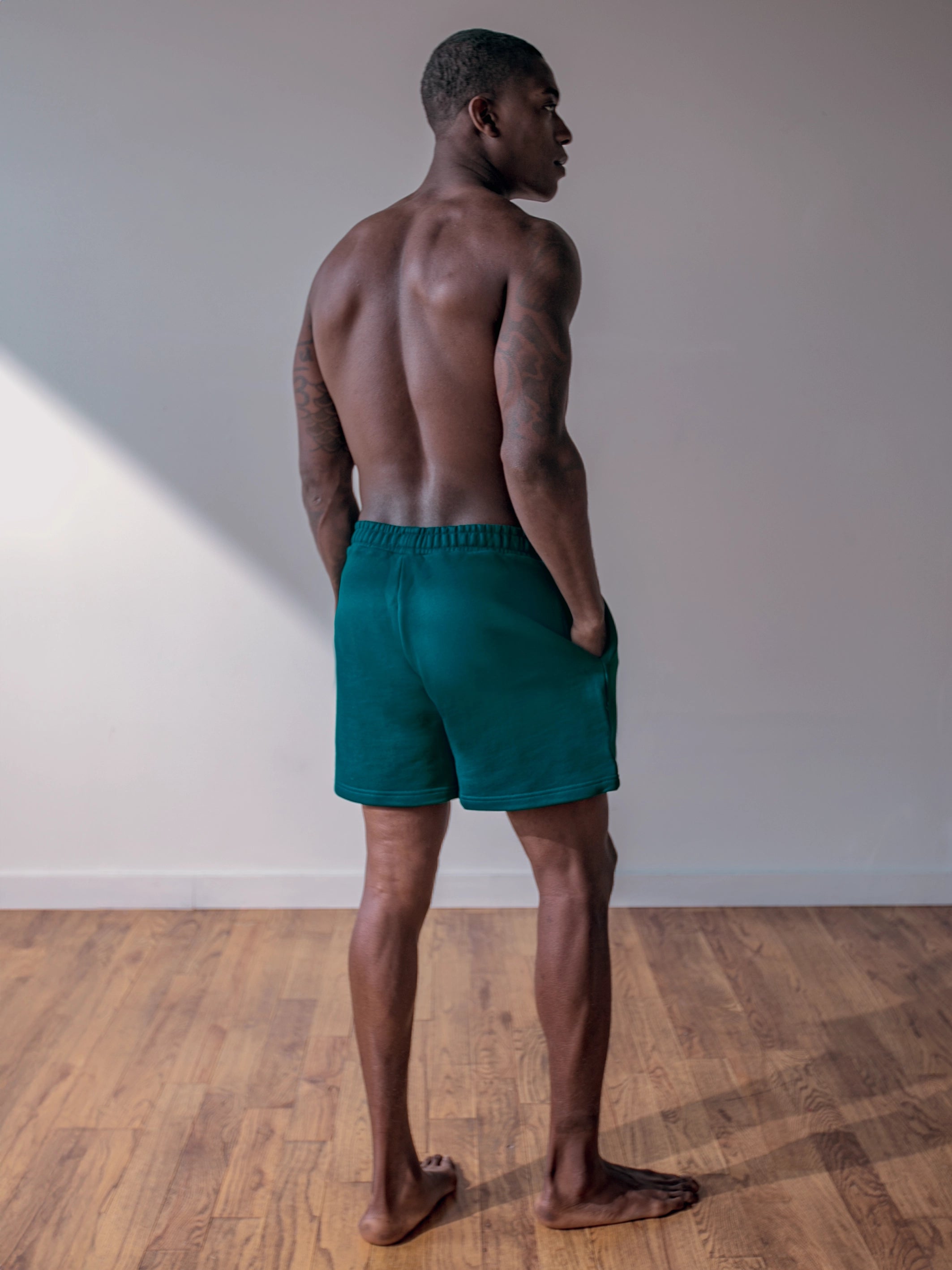 Close-up of a single green leaf against a white background.