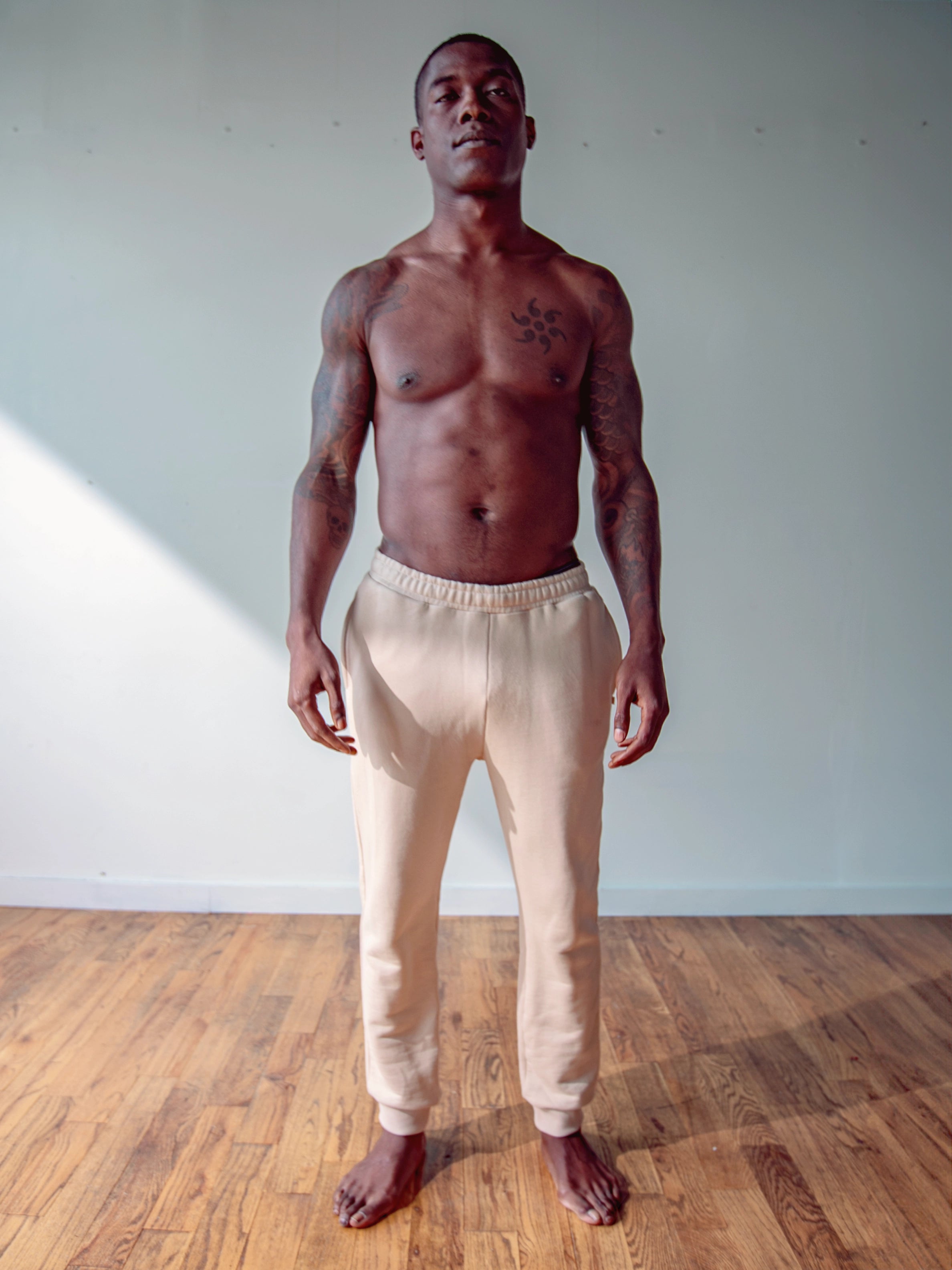 Close-up of a single green leaf against a white background.